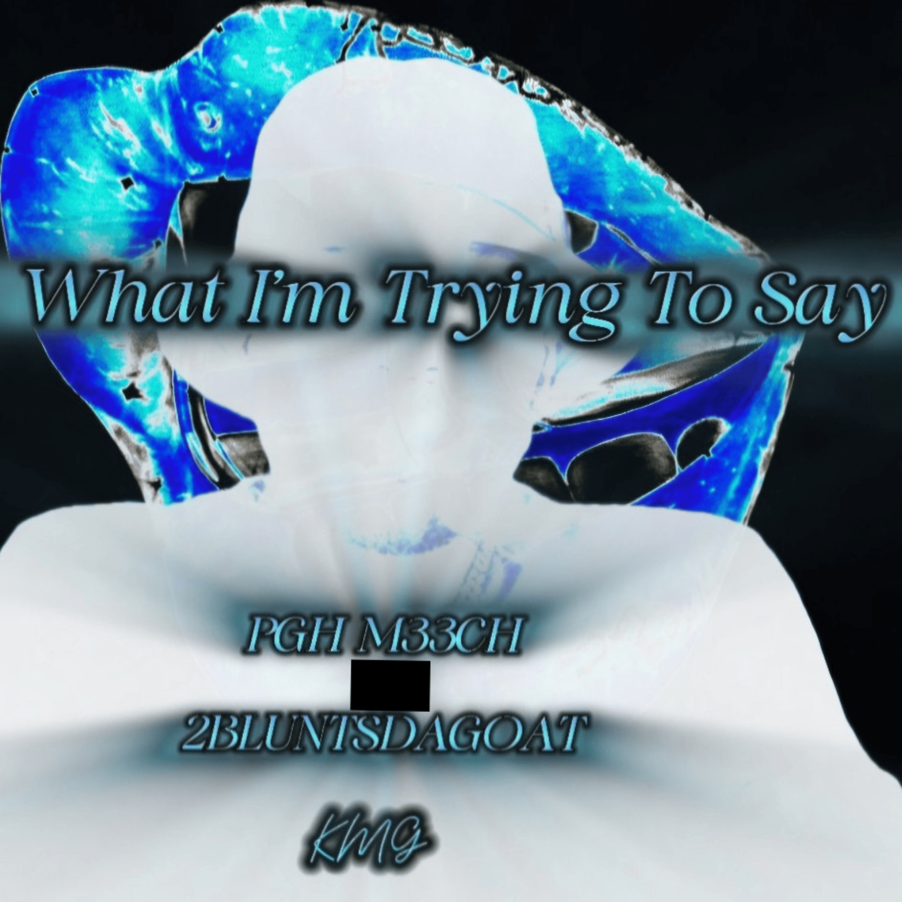 What I’m Trying To Say artwork