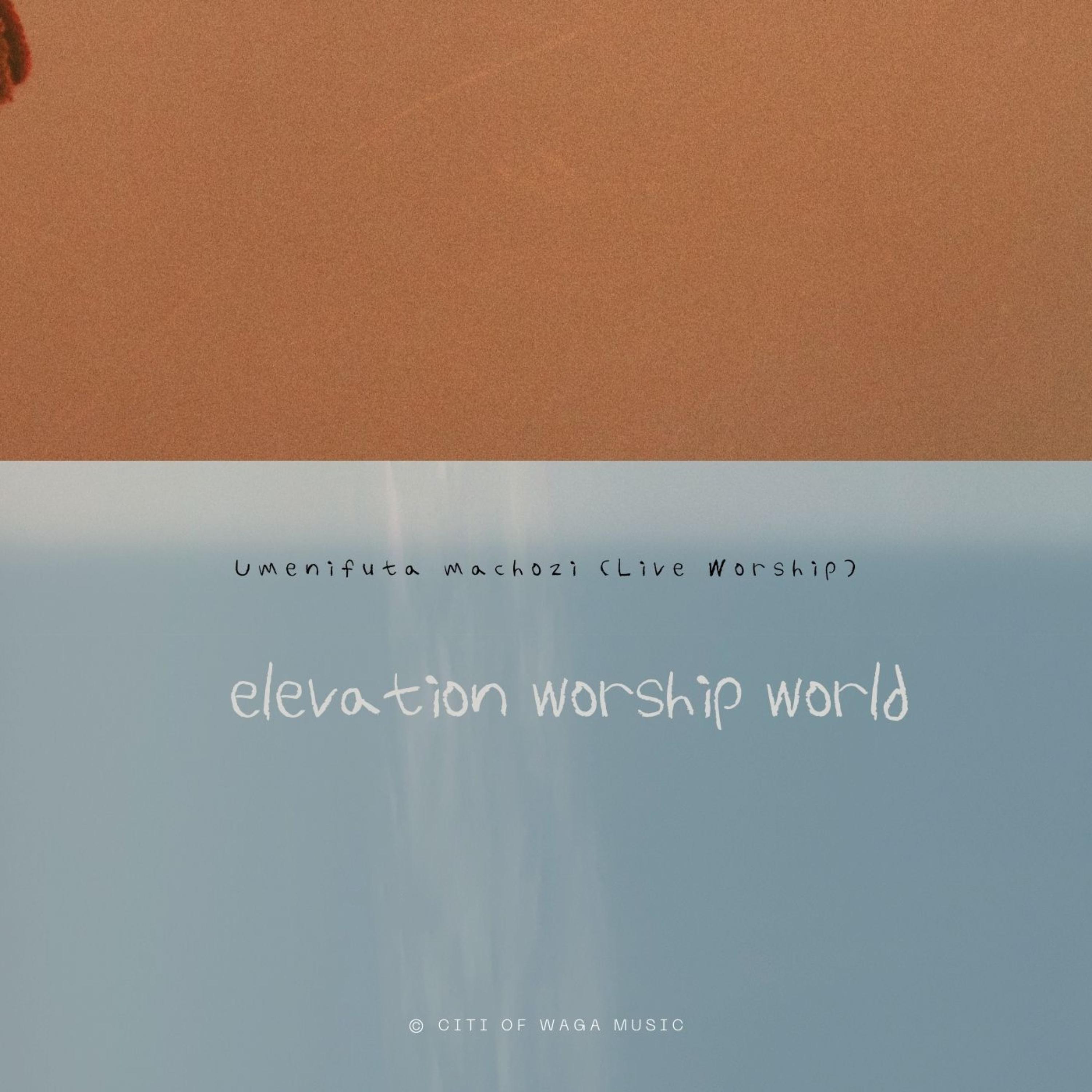 Umenifuta Machozi (Live Worship) artwork