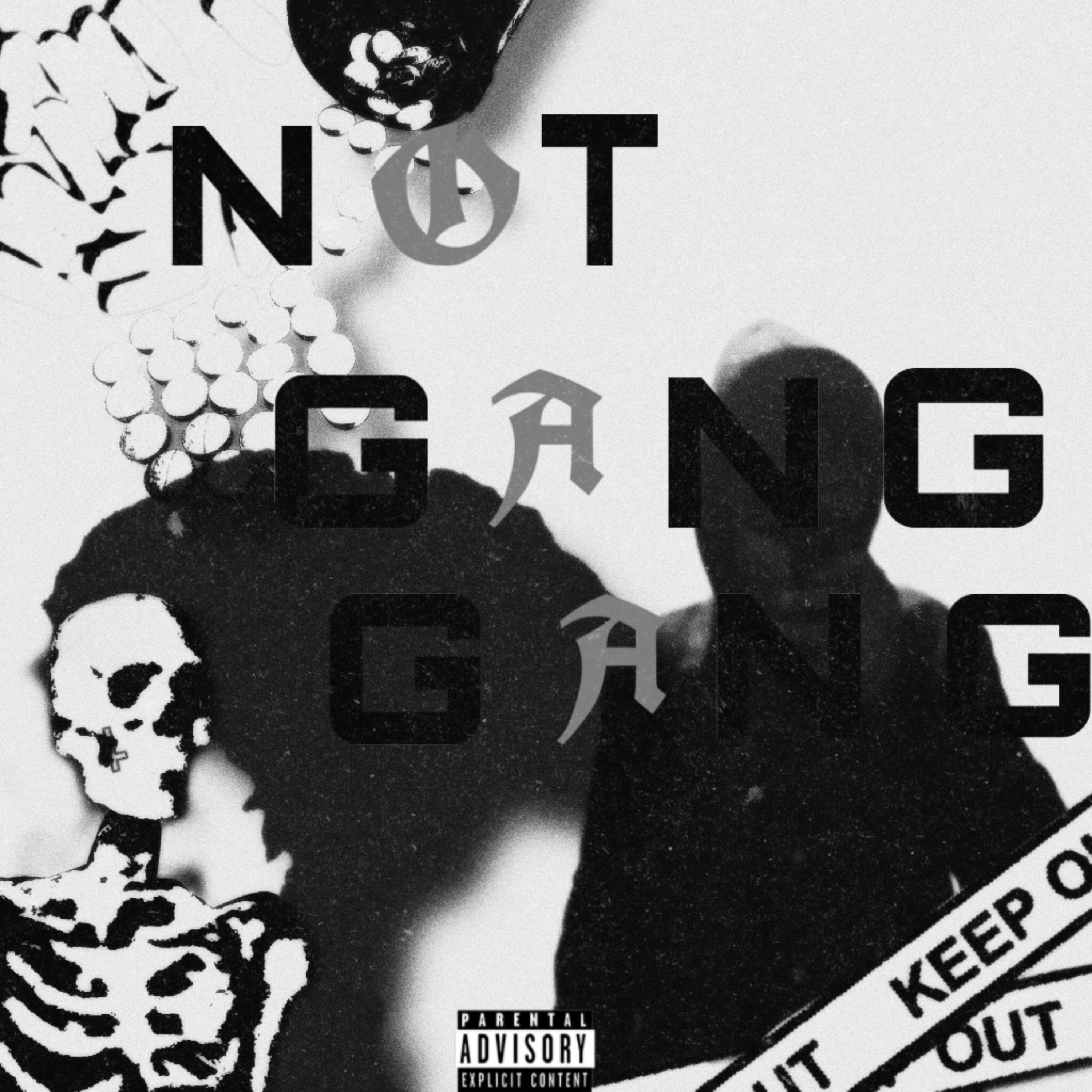 not gang gang artwork