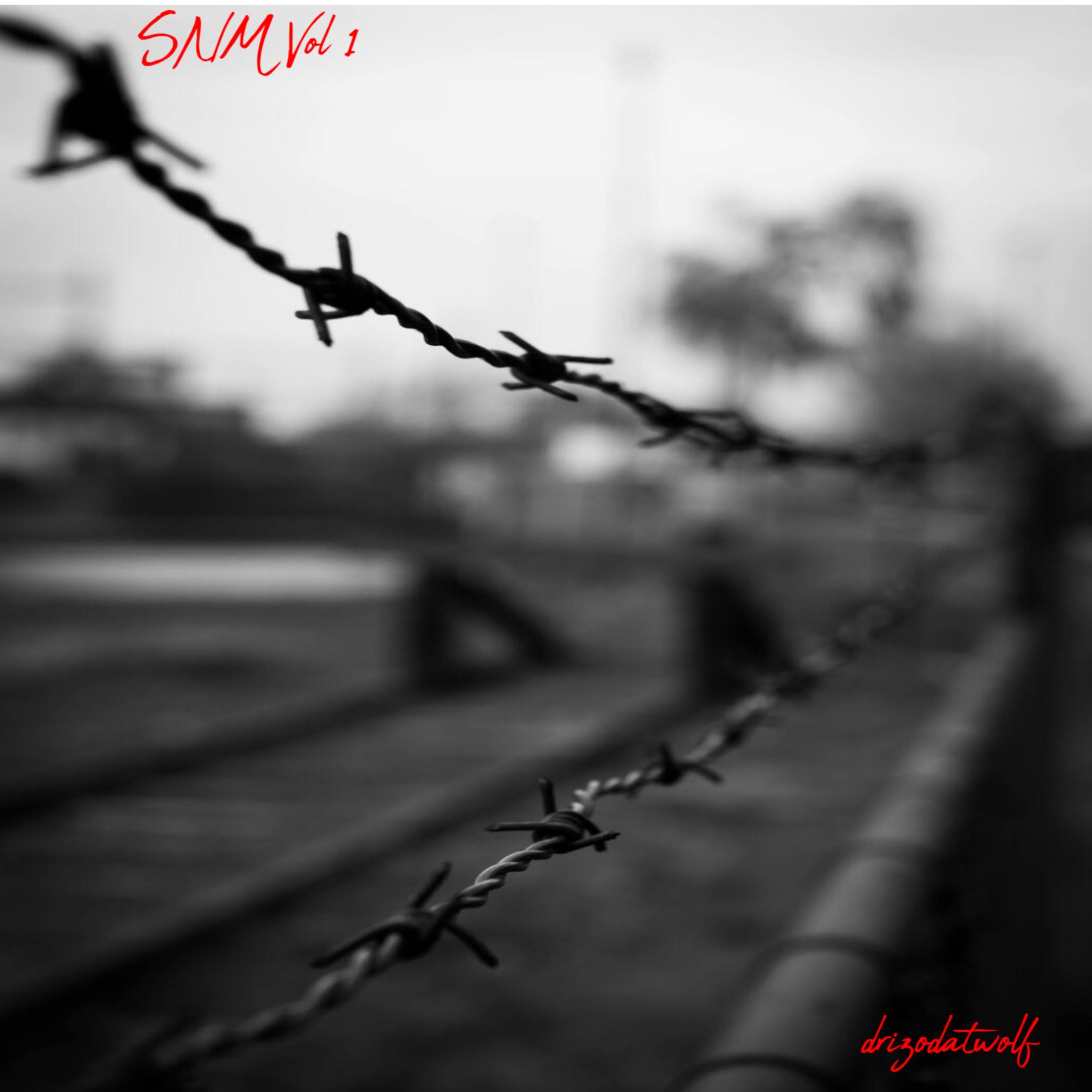 SNM Vol 1 artwork
