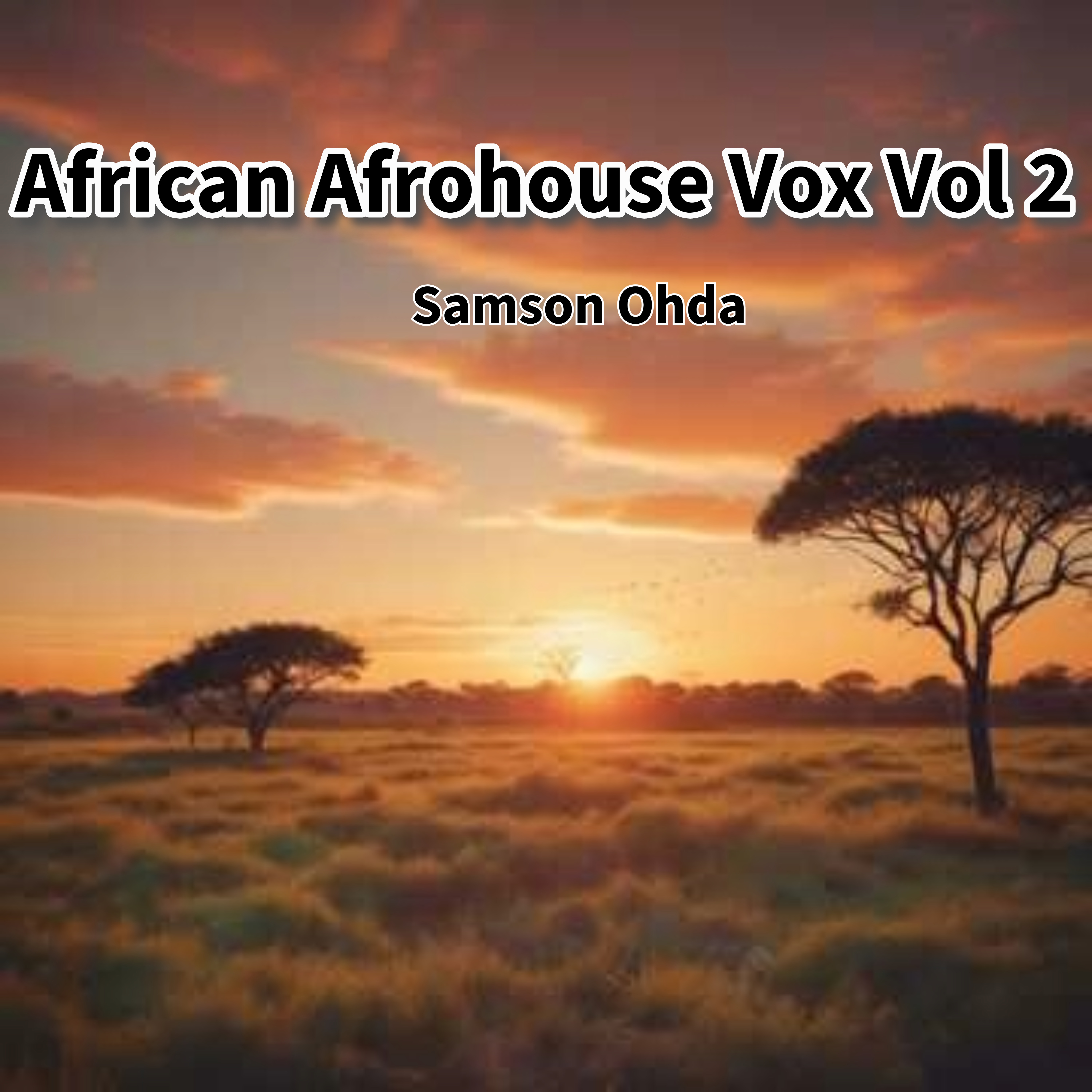 African Afrohouse Vox Vol 2  artwork