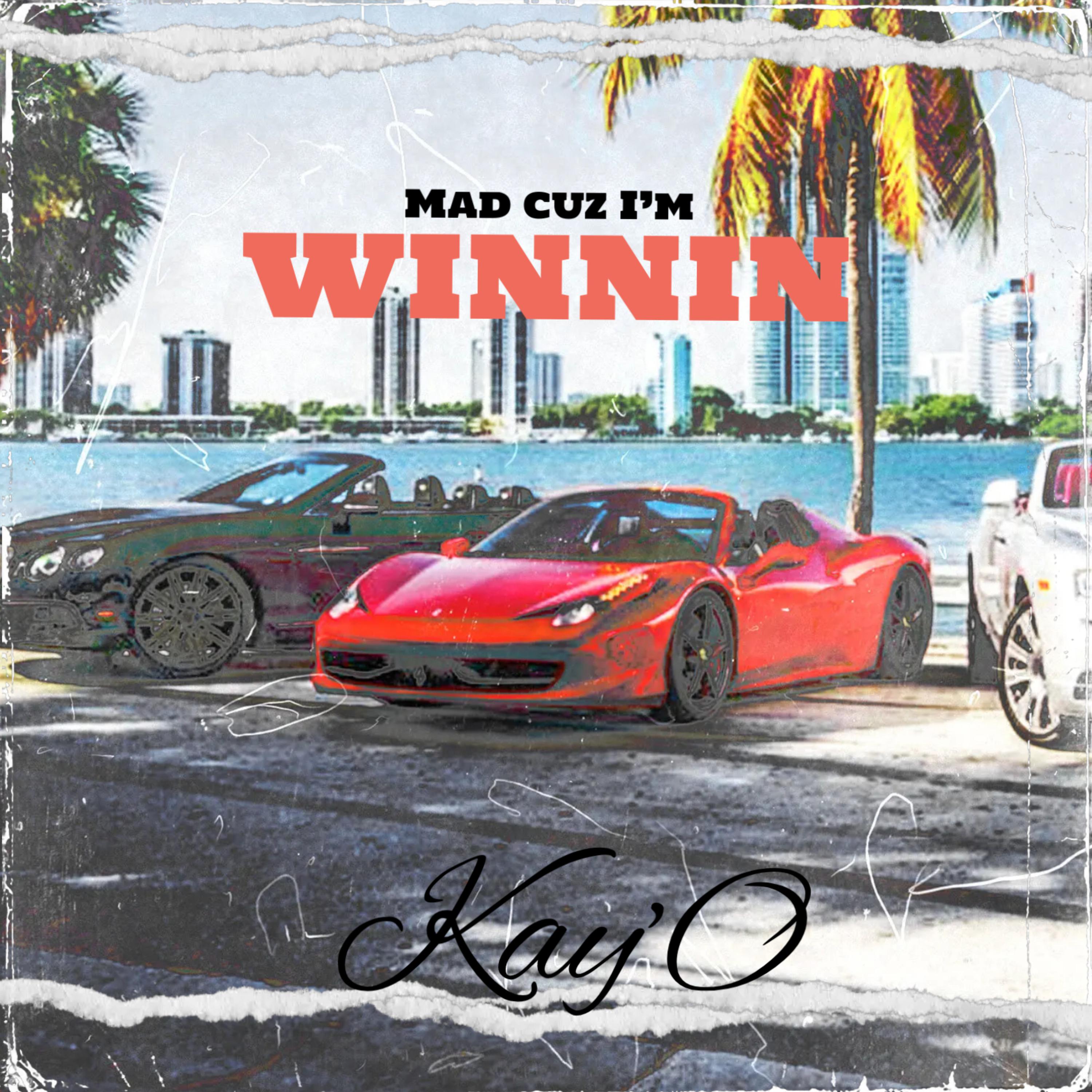 Mad Cuz I'm Winnin artwork