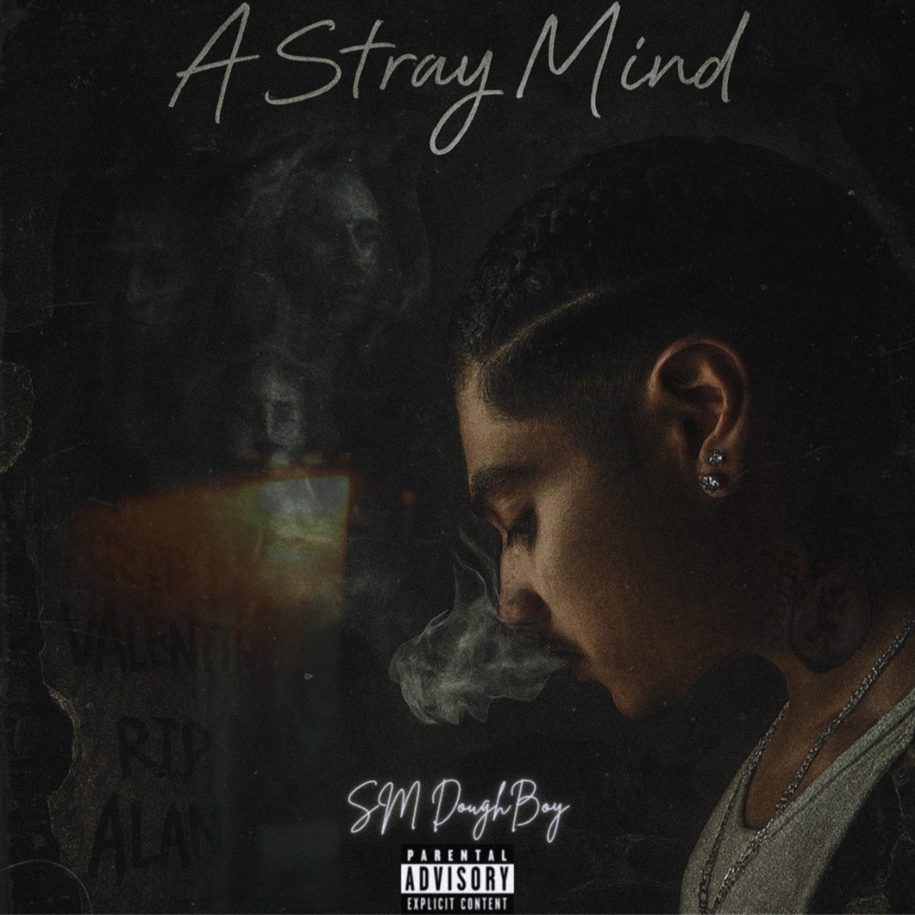 A Stray Mind artwork