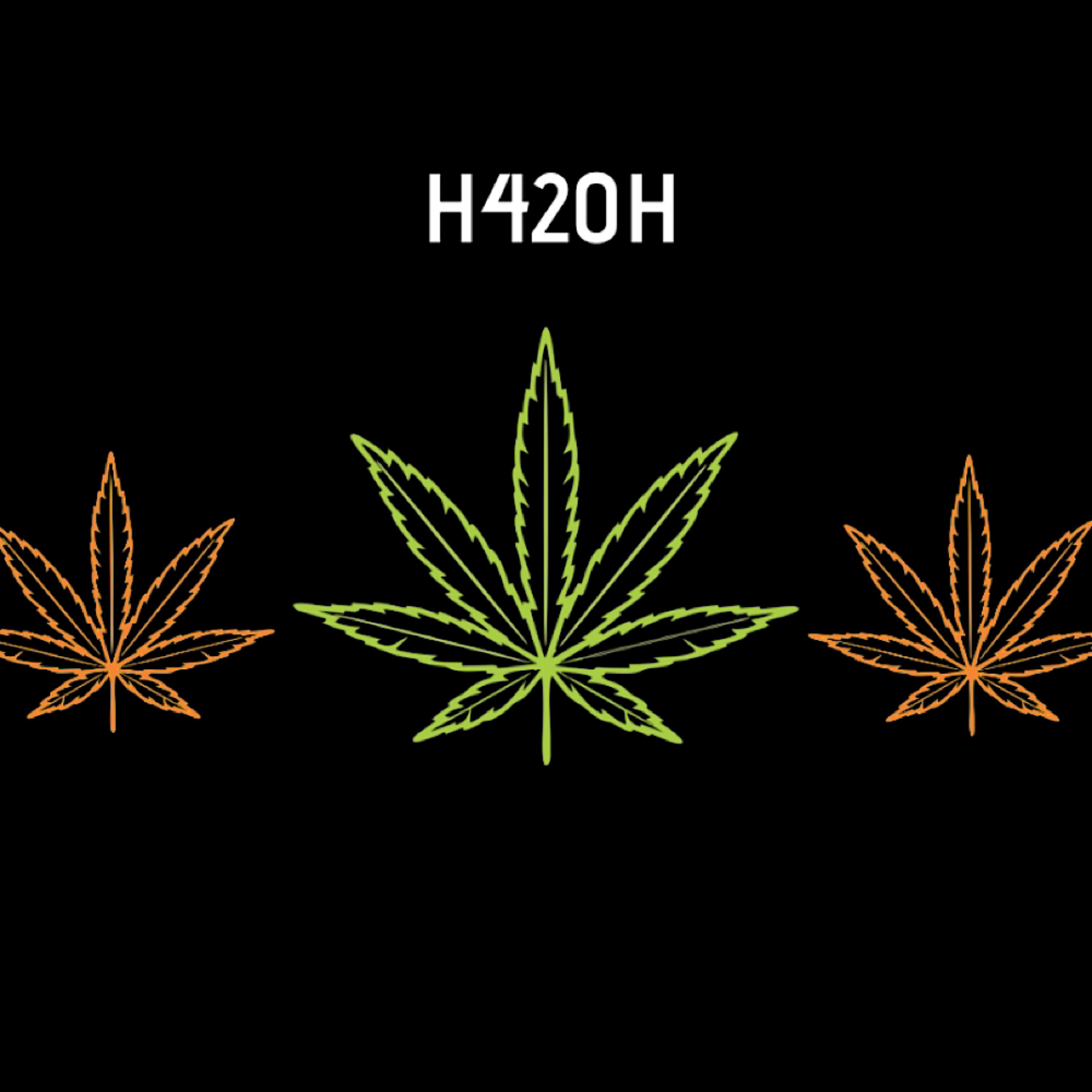 H420H artwork