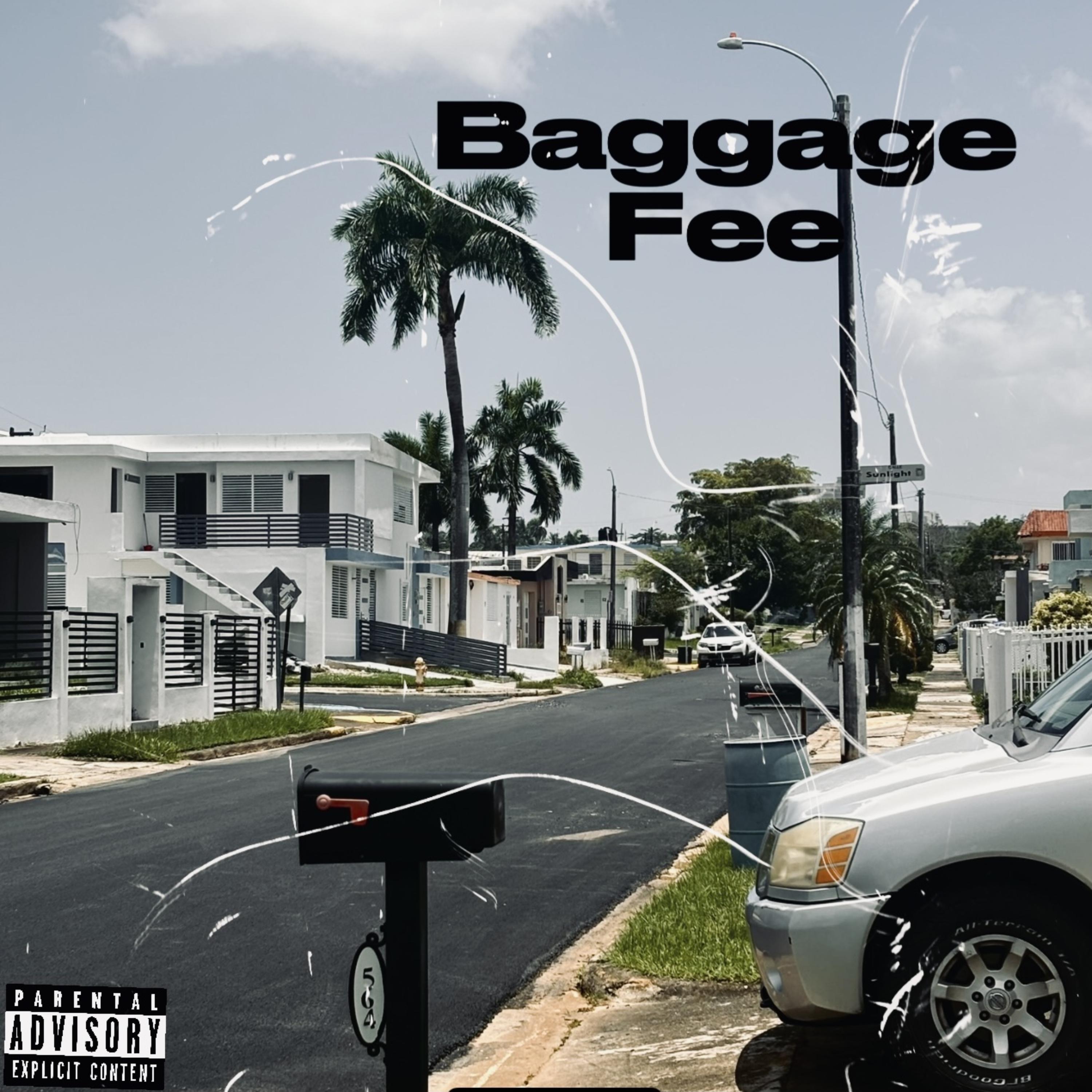 Baggage Fee artwork