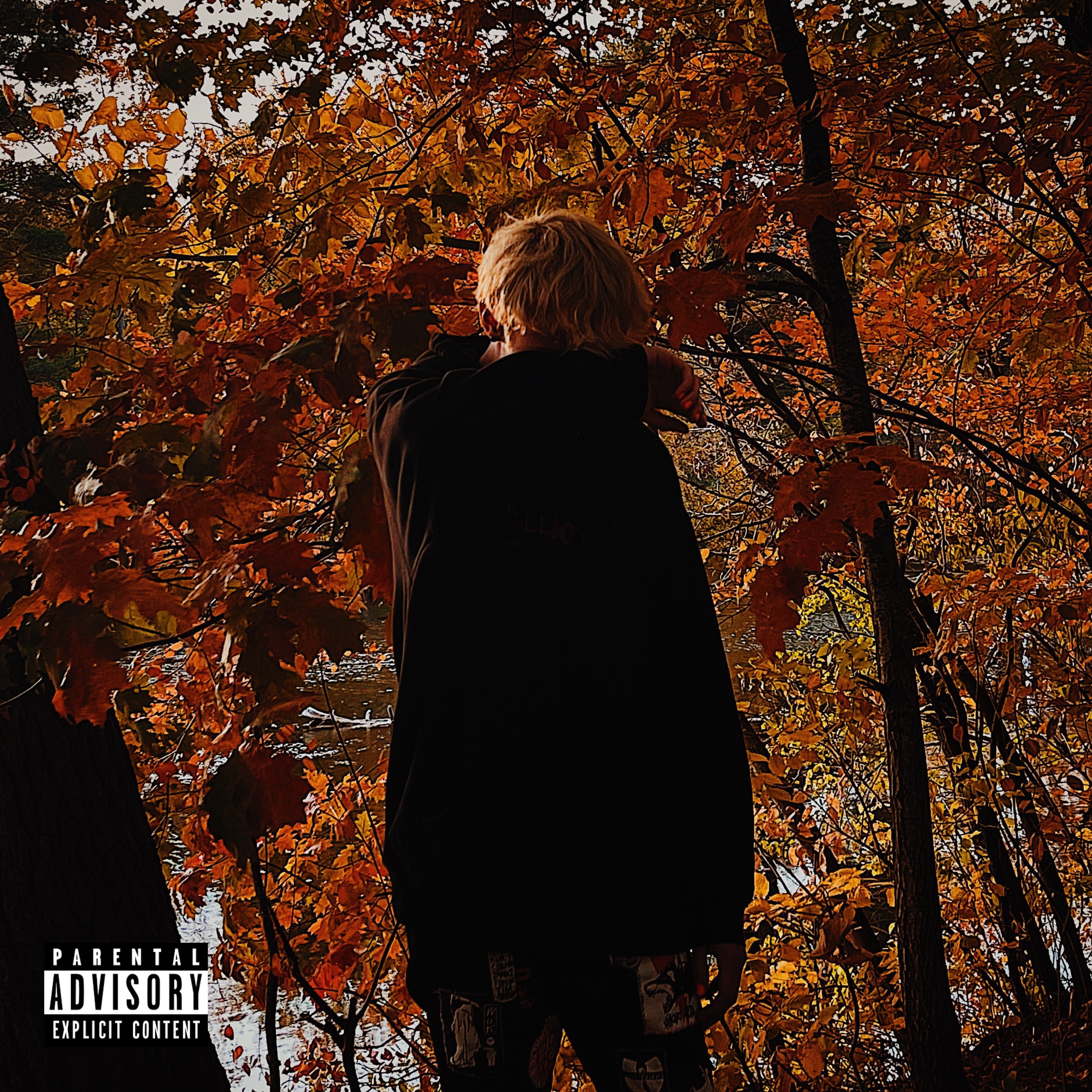 Post Traumatic Stress (Part II) artwork