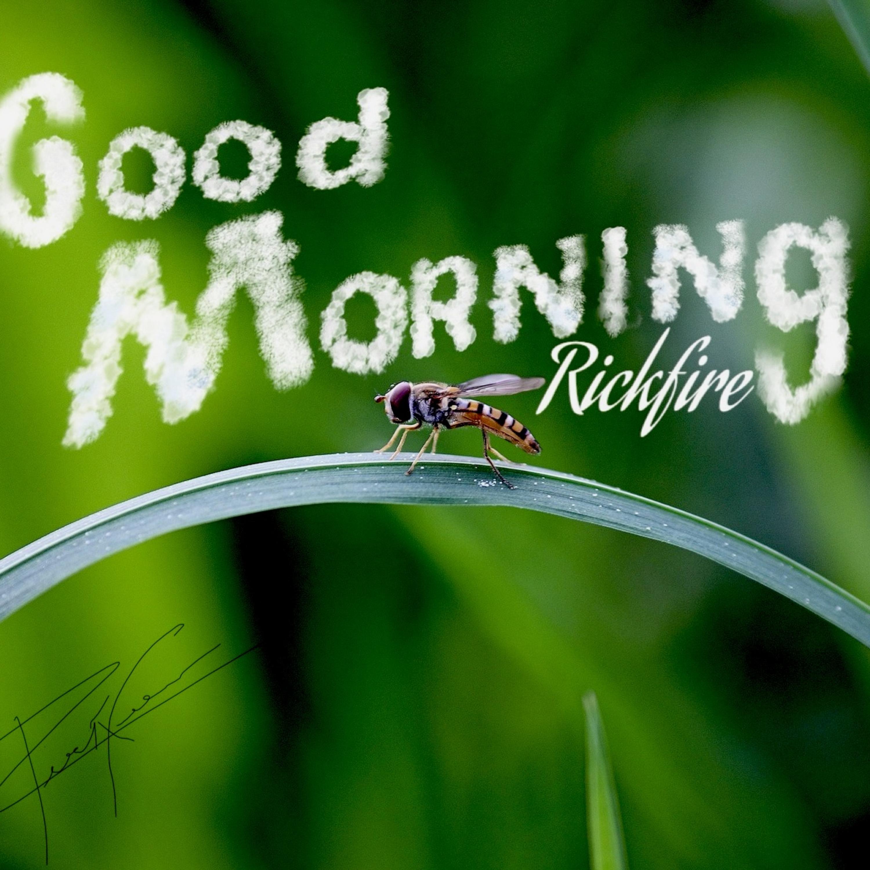 Good Morning artwork