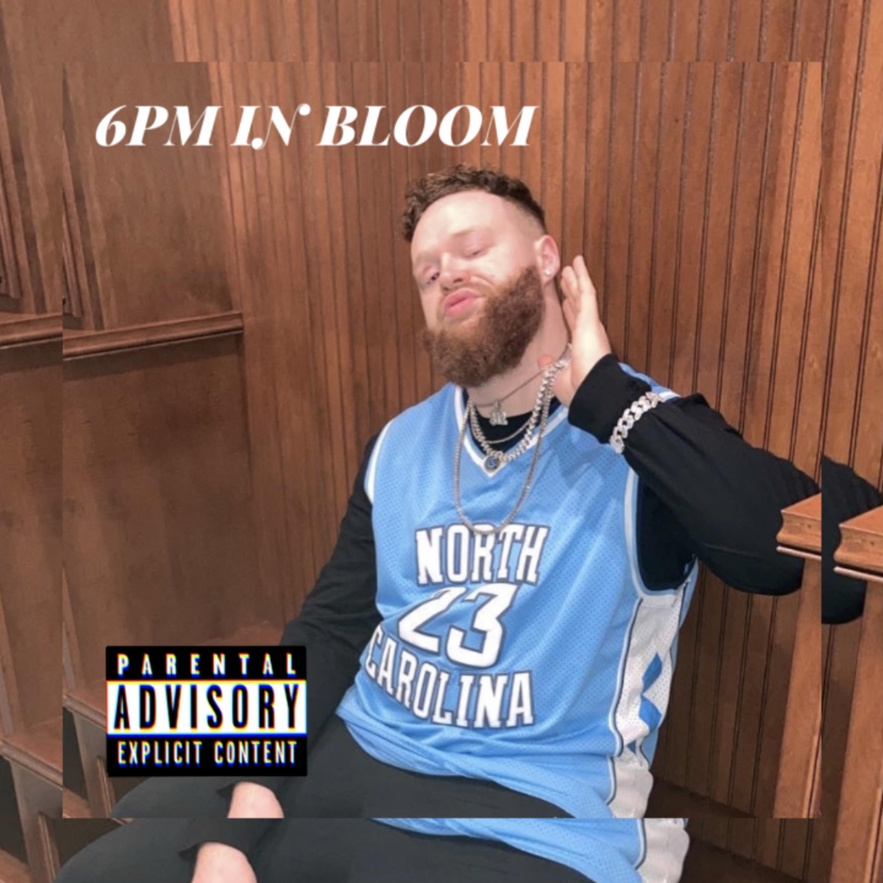 6PM IN BLOOM by T.Bex cover art