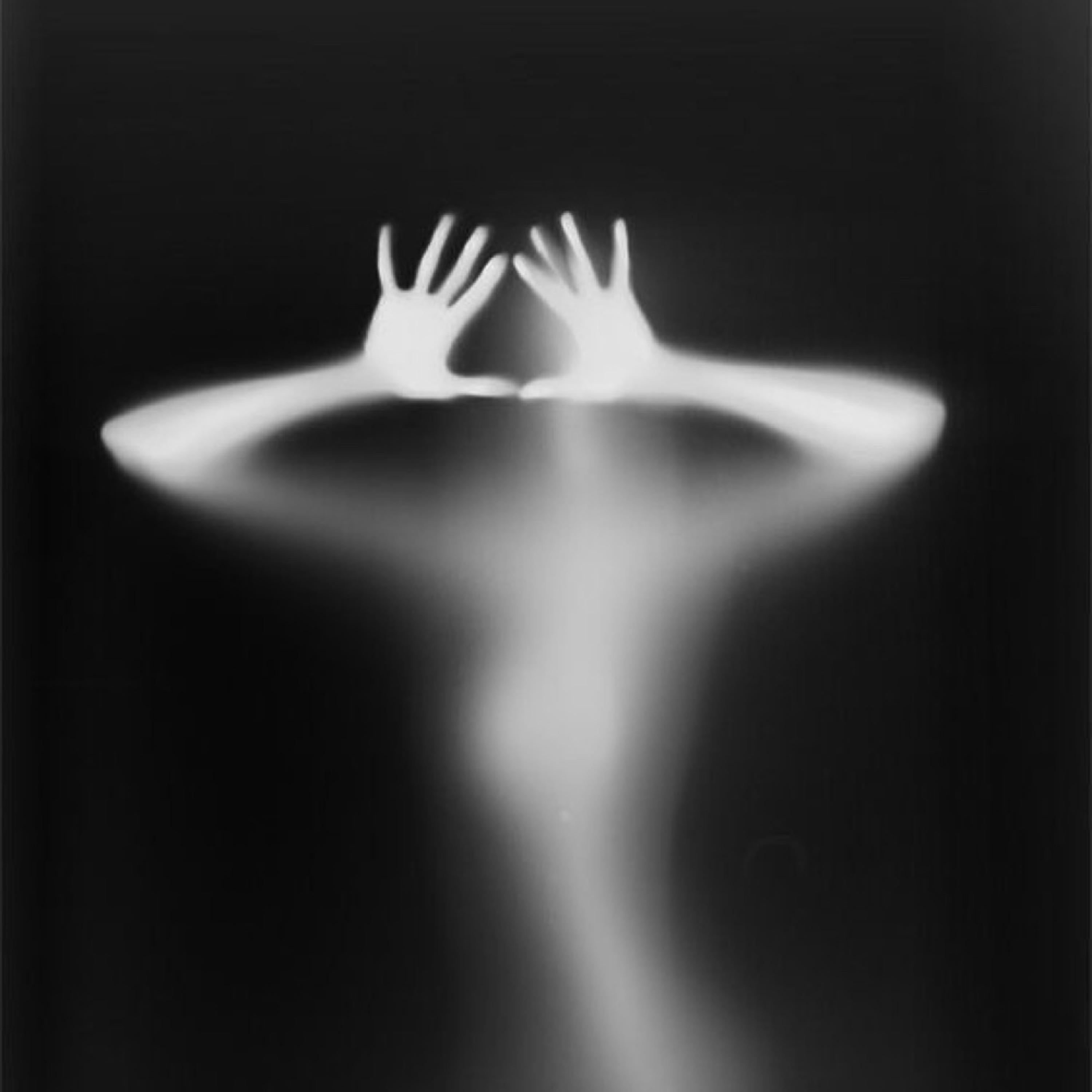 Cutter artwork
