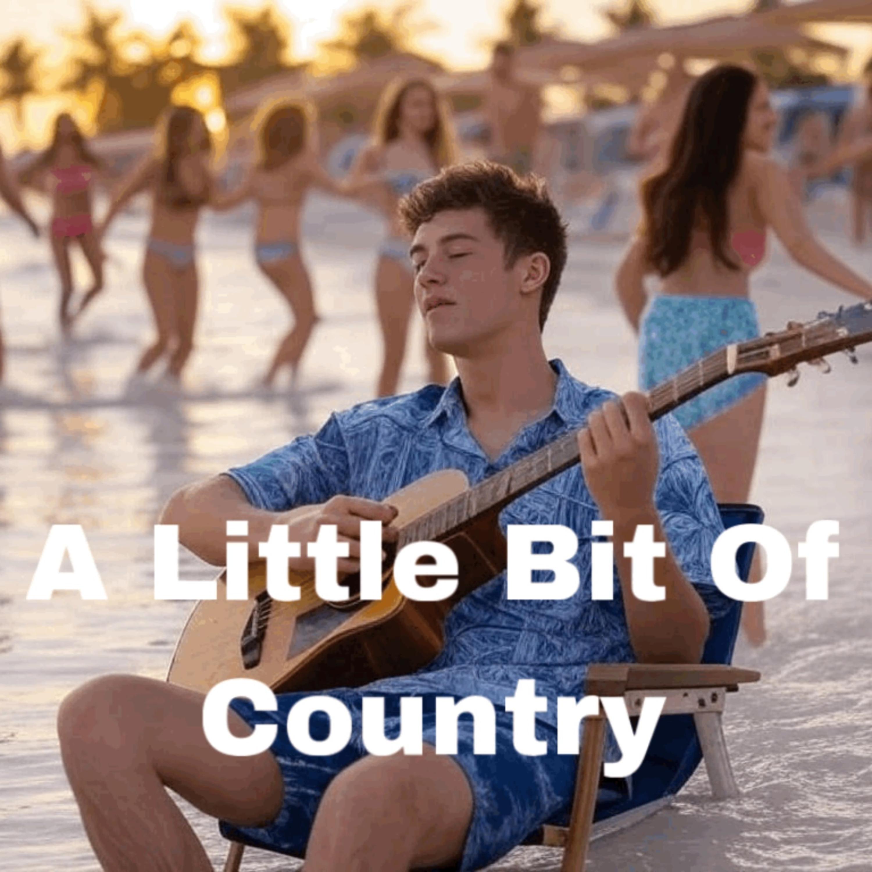 A Little Bit Of Country artwork