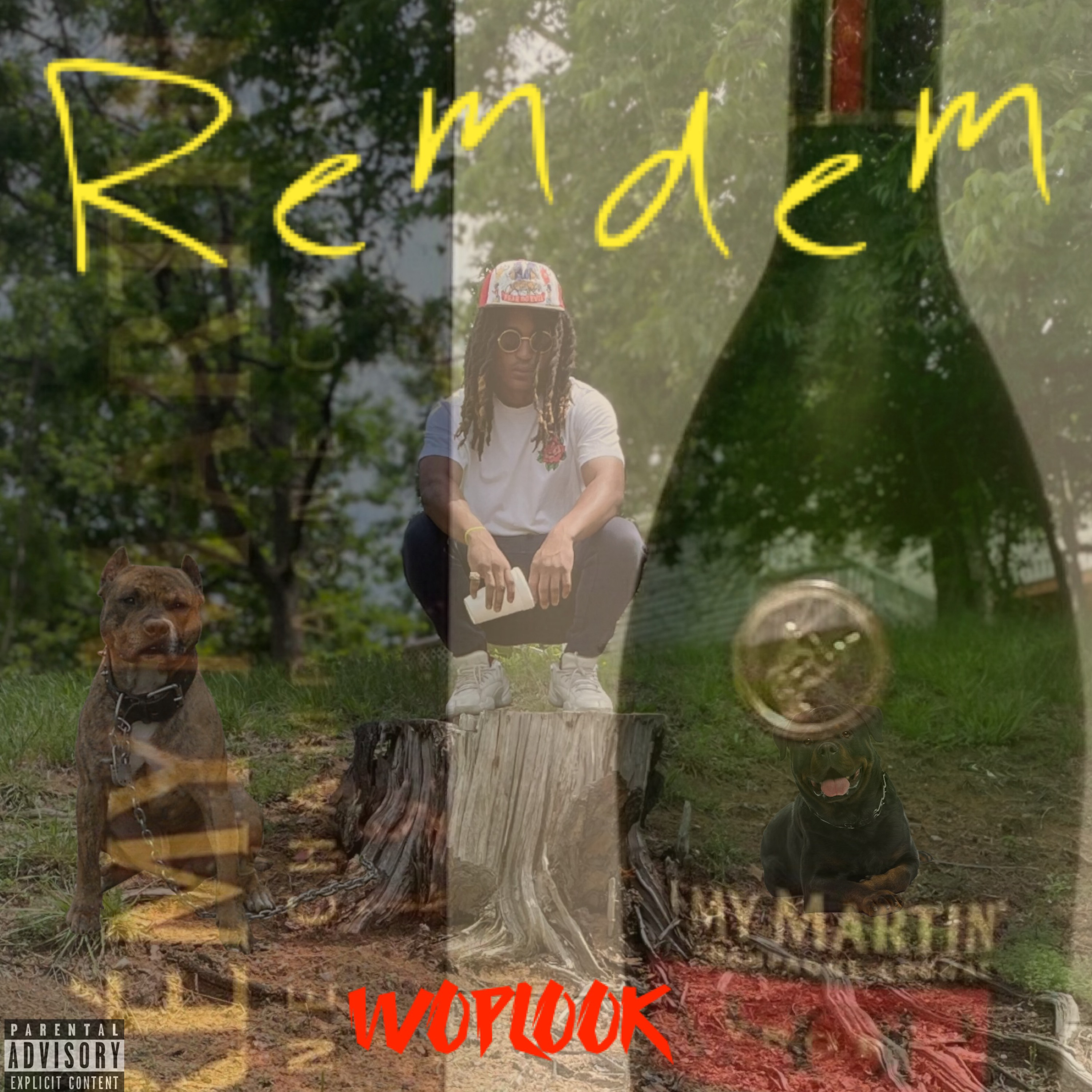 Remdem artwork