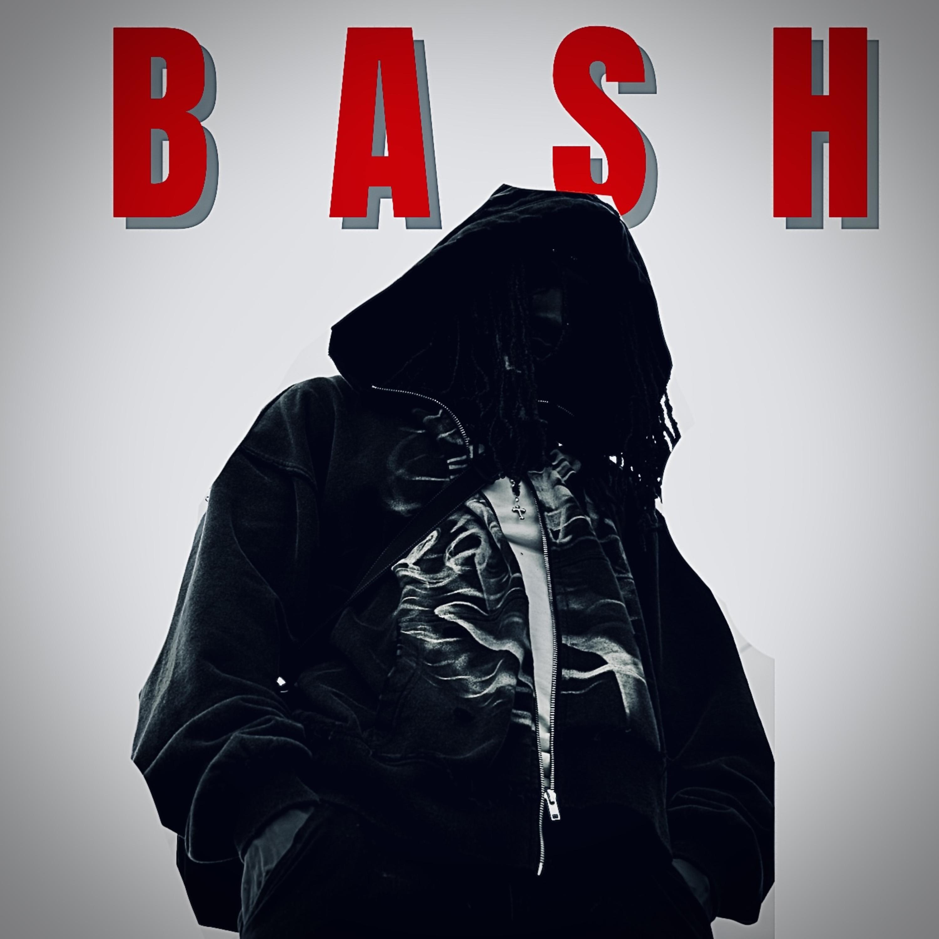 BASH artwork