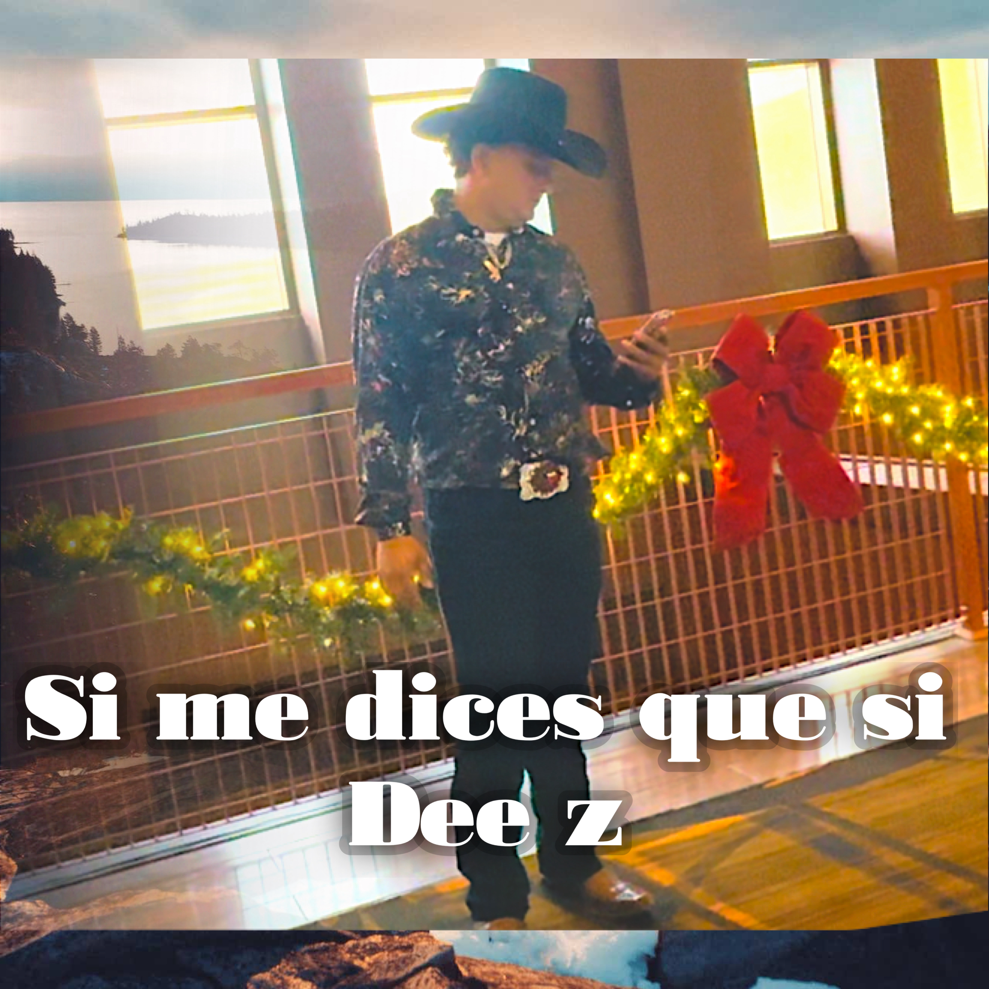 Si Me Dices Que Si artwork