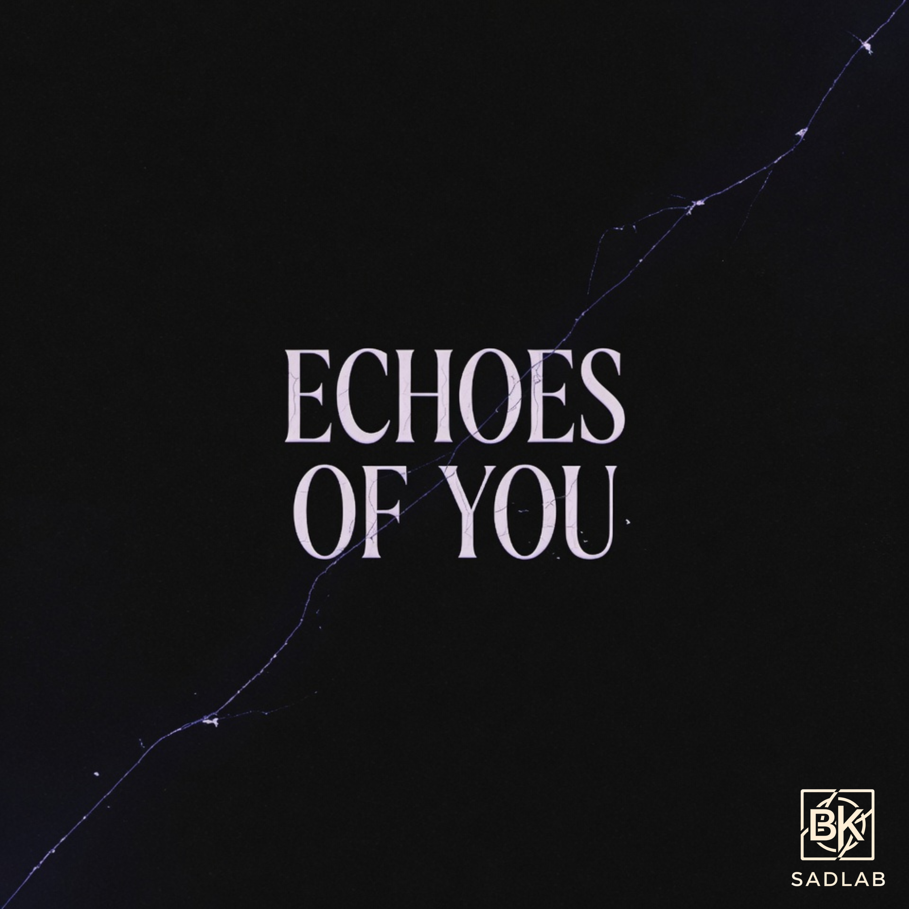 Echoes of You artwork