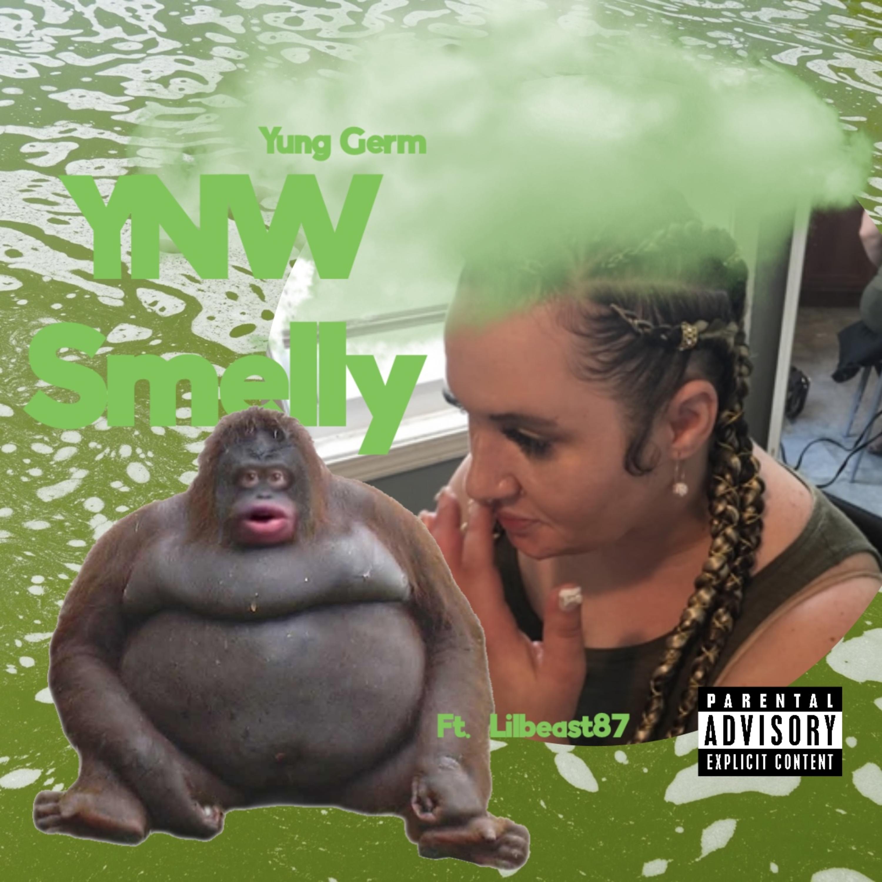 YNW Smelly artwork