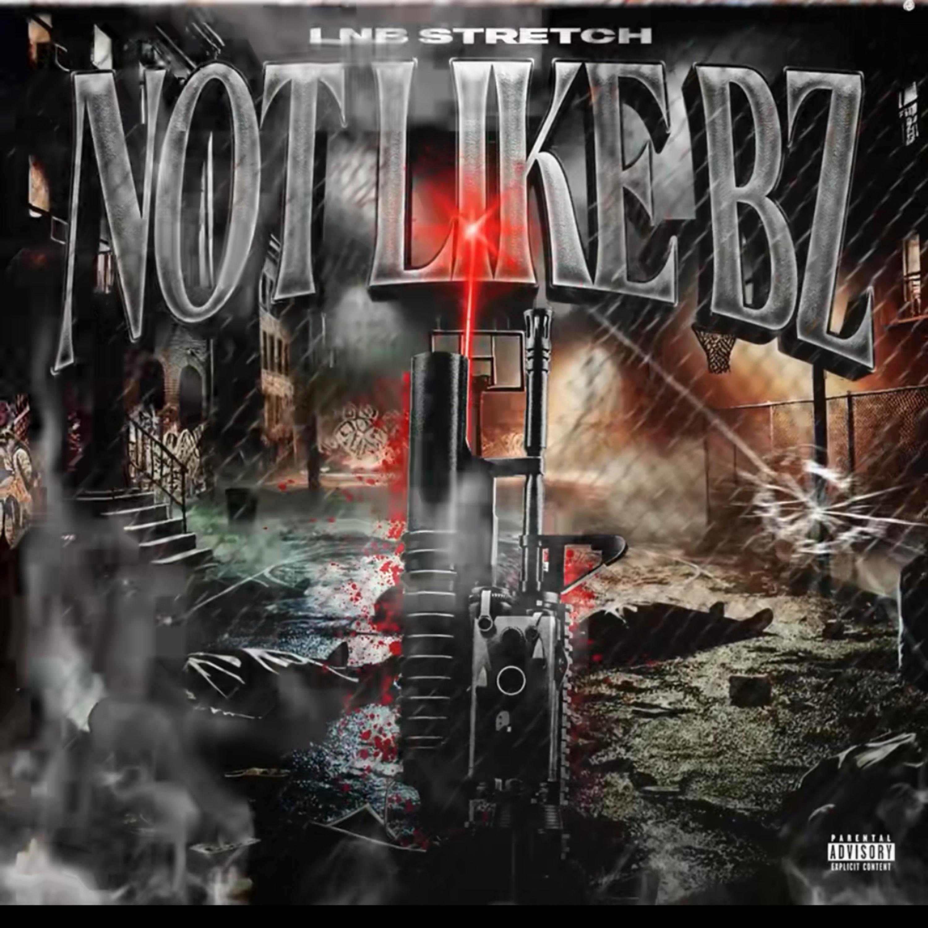 Not Like Bz artwork