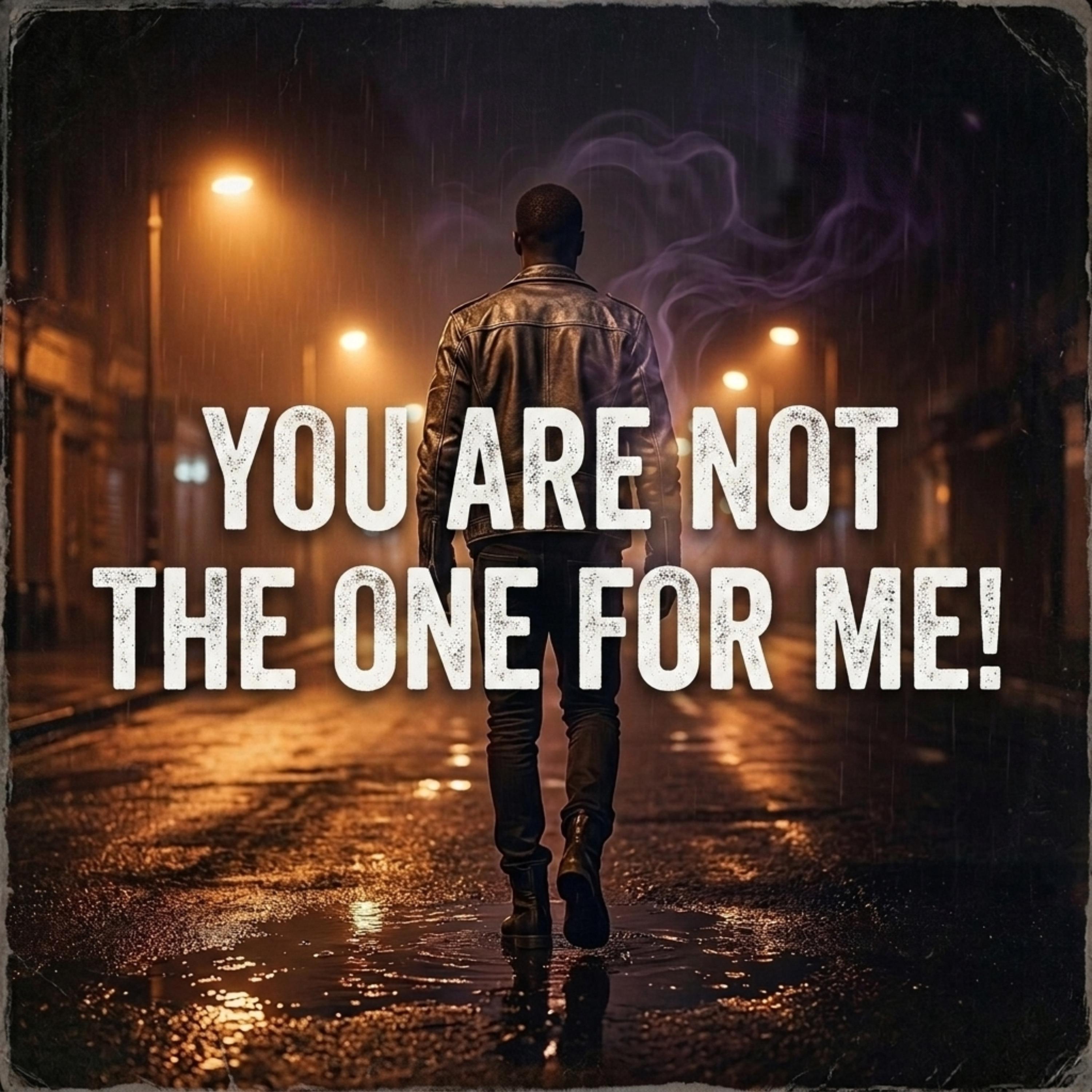 Your Not The One for Me! by ABTRAXX cover art