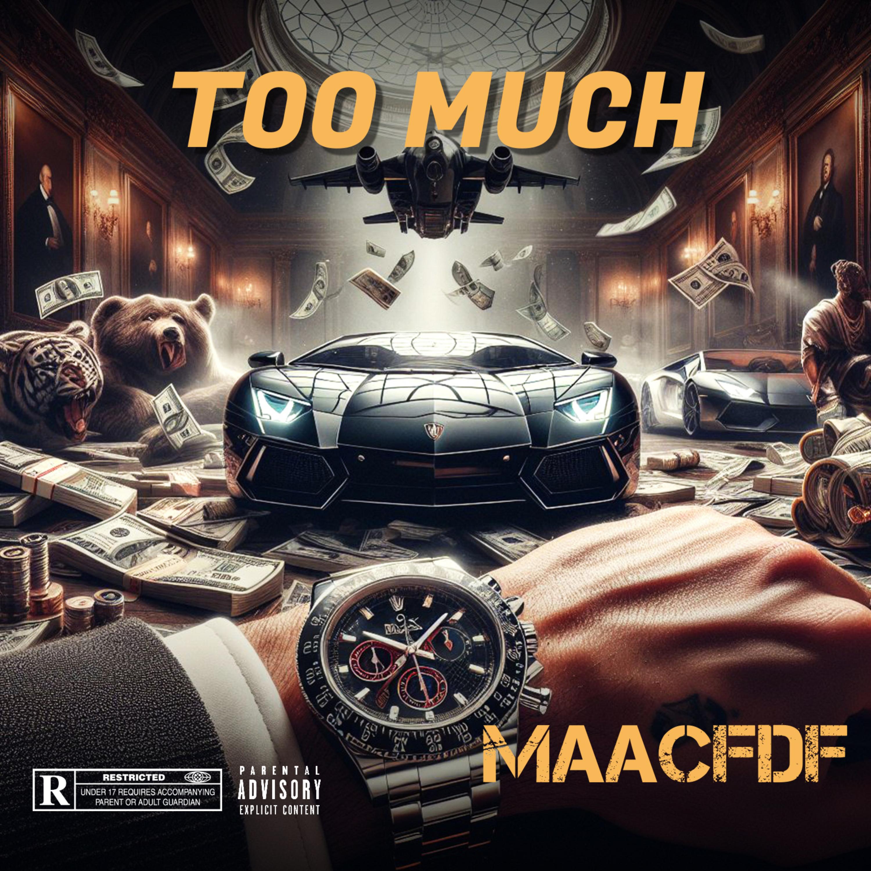Too Much artwork