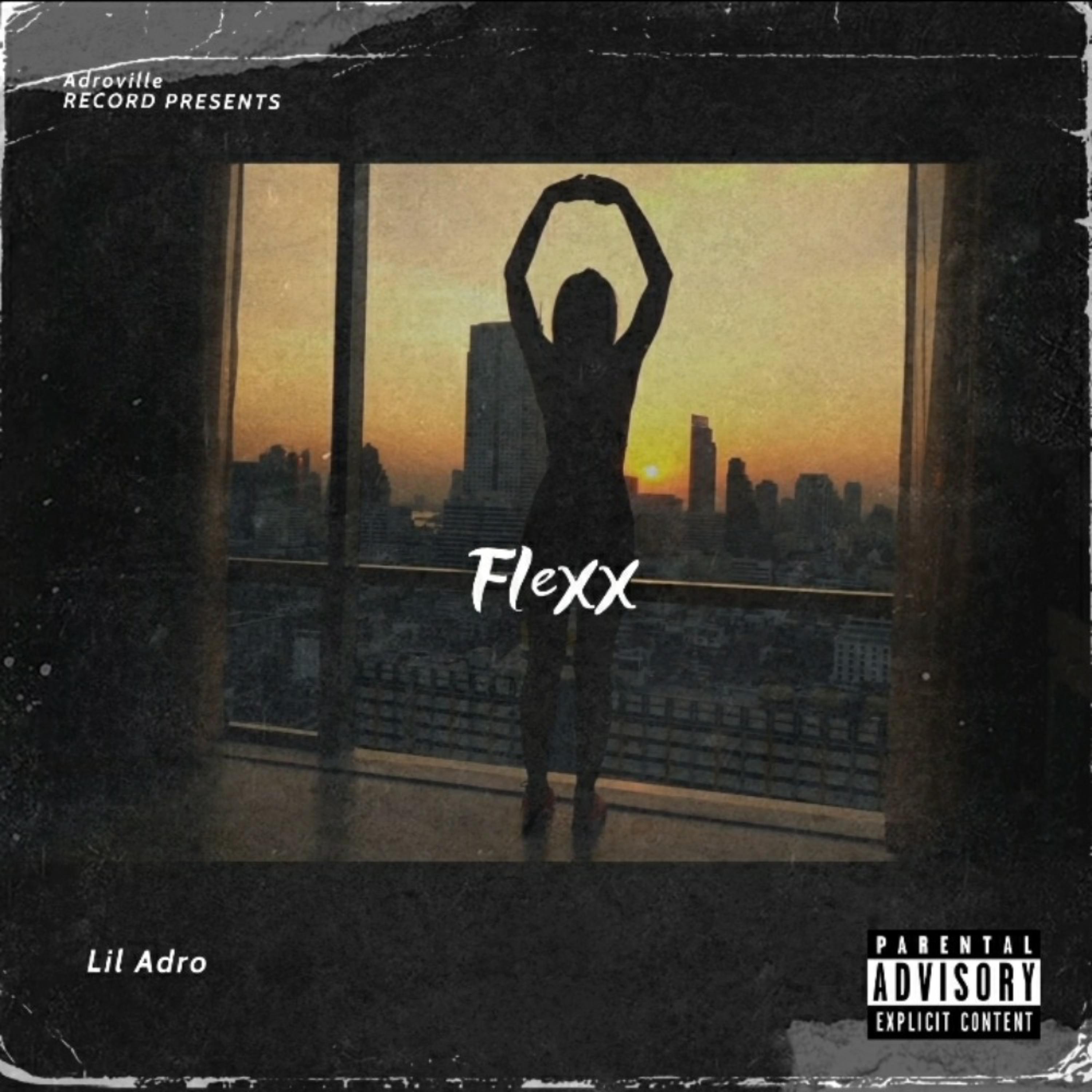 Flexx artwork