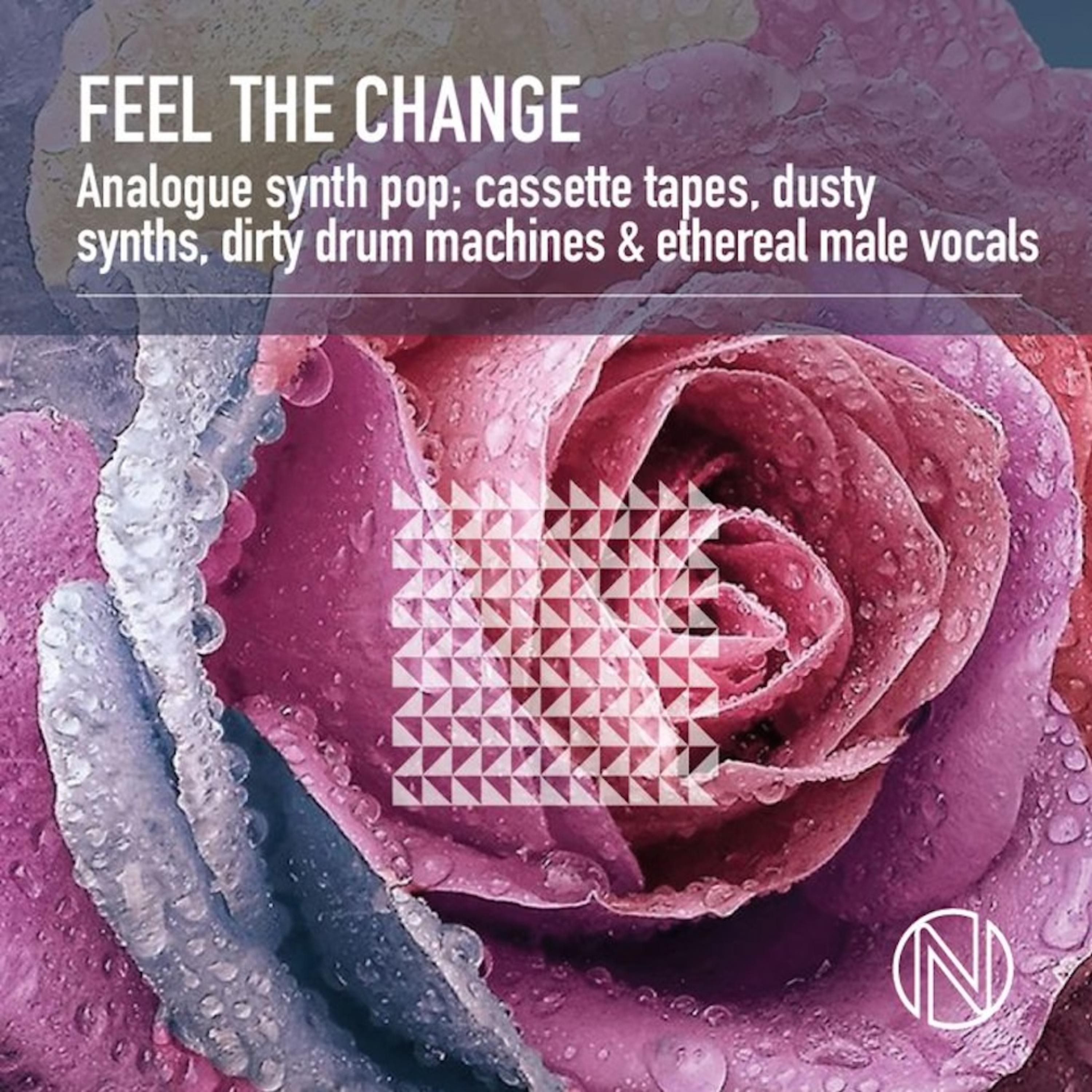 Feel The Change artwork