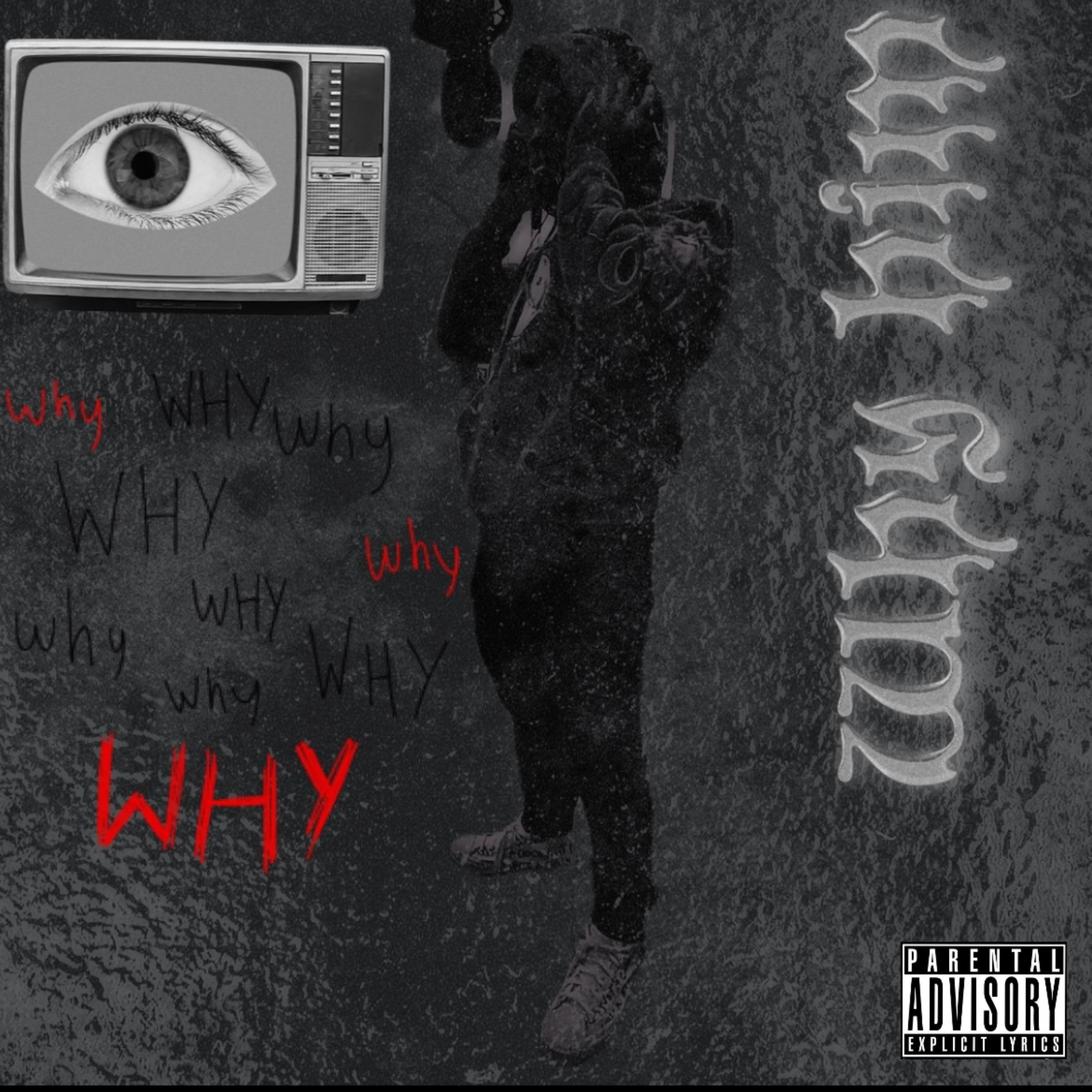 Why Him? artwork