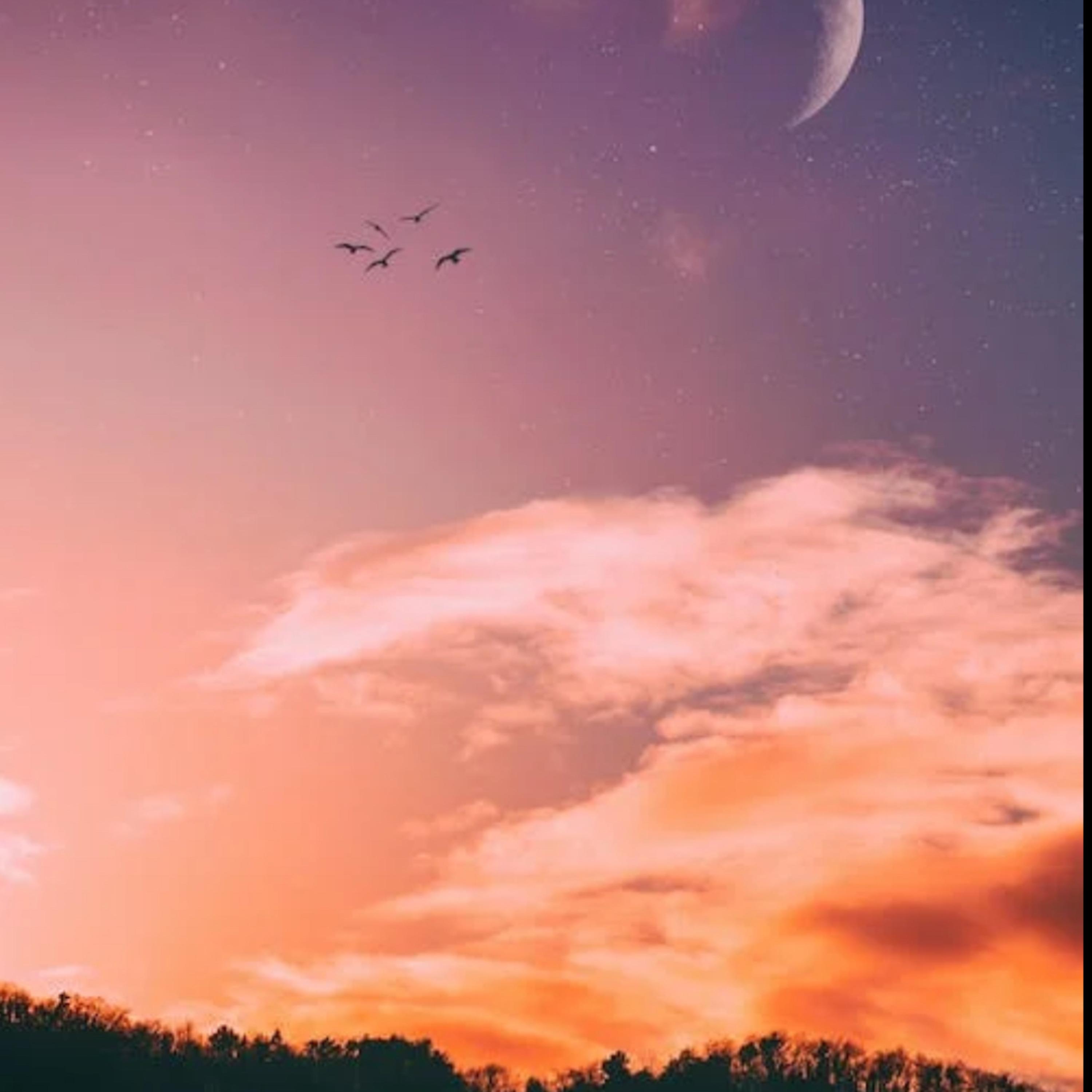Reason artwork