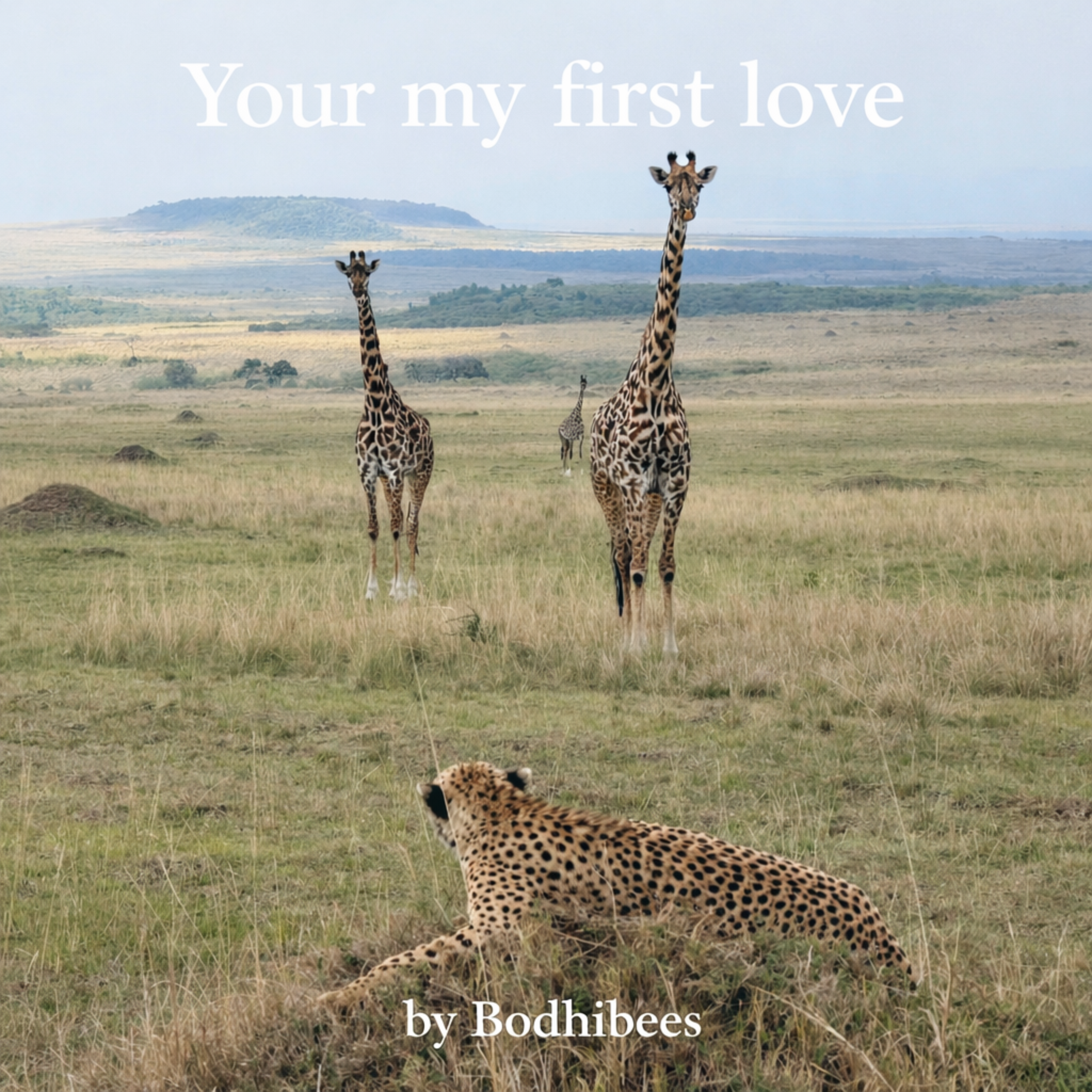 Your my first love artwork