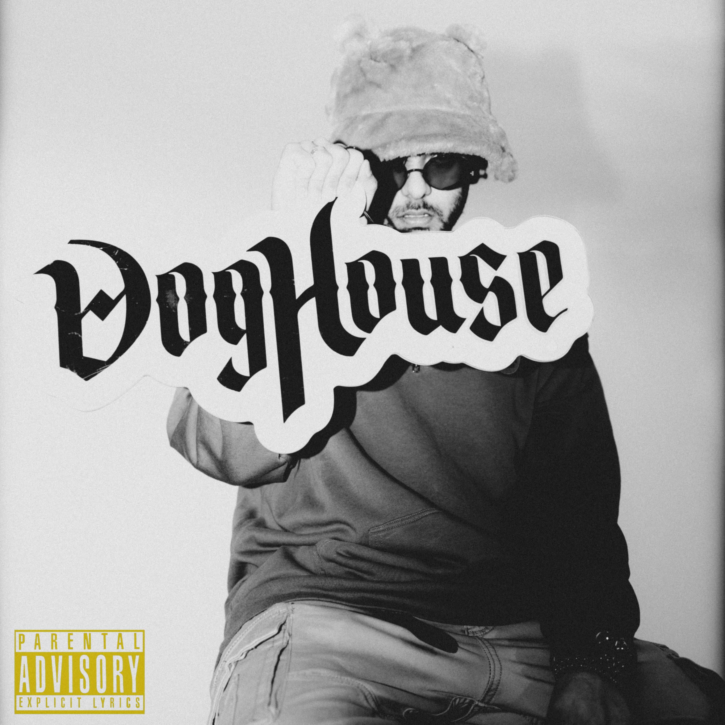 DOGHOUSE artwork