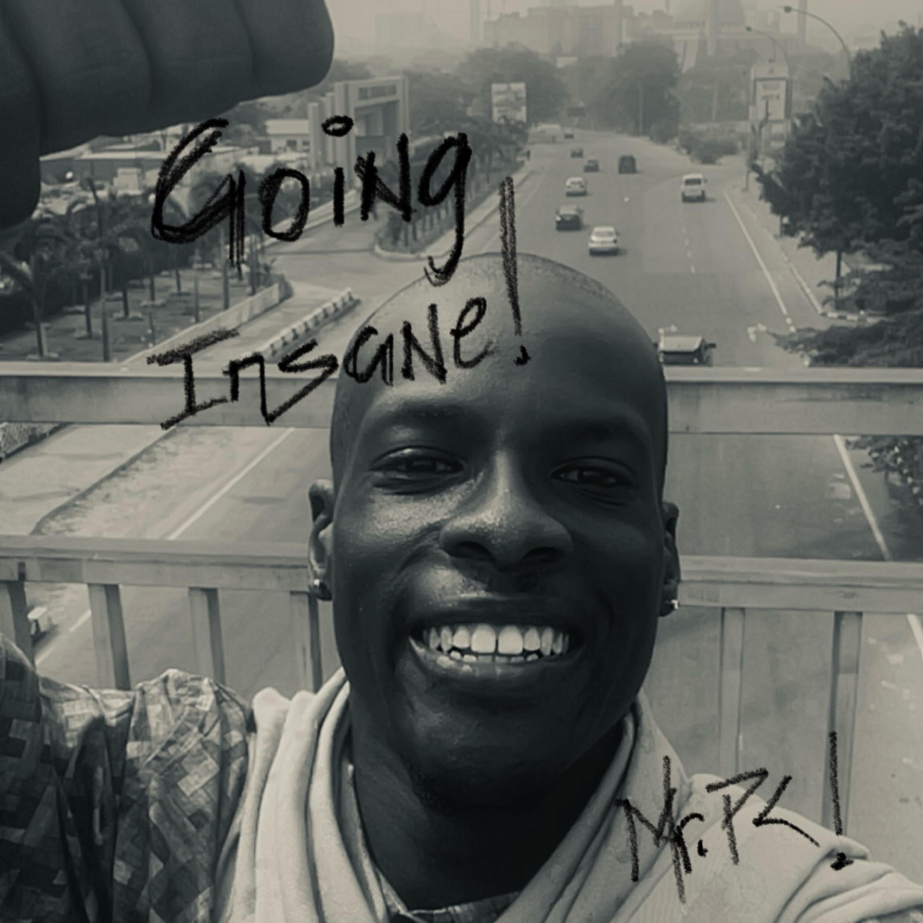 Going Insane! by Mr.PC! cover art