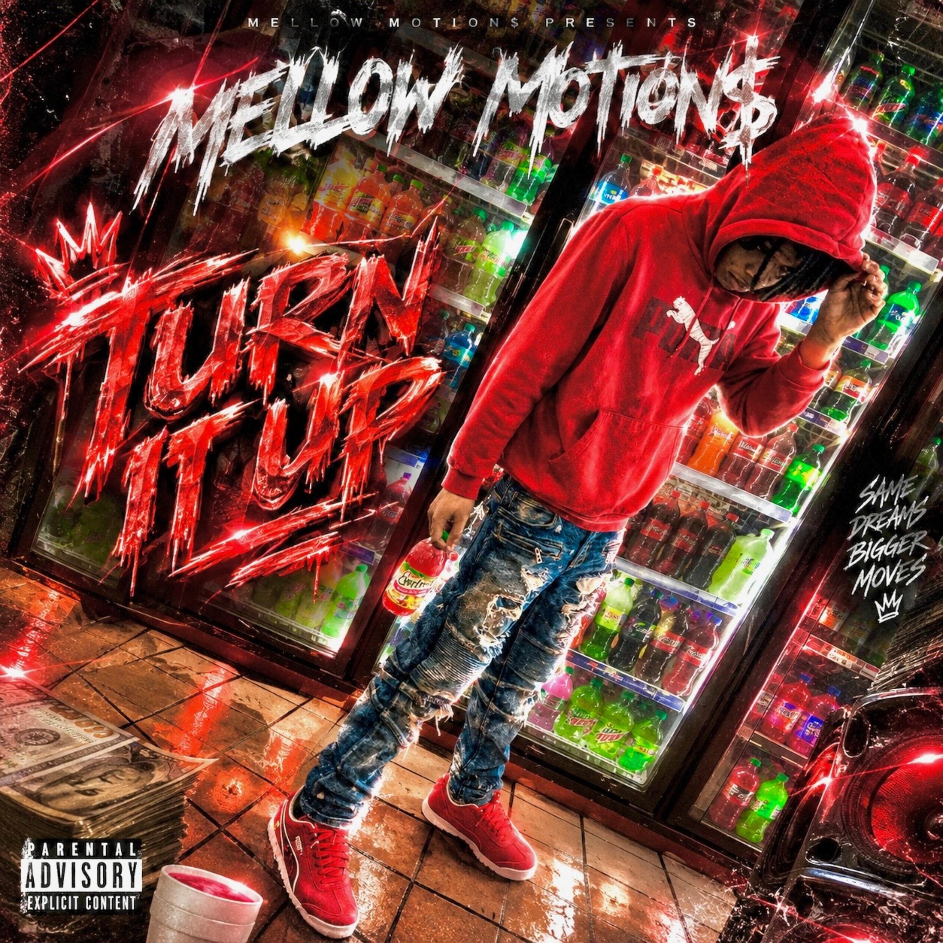 Turn It Up by Mellow Motion$ cover art
