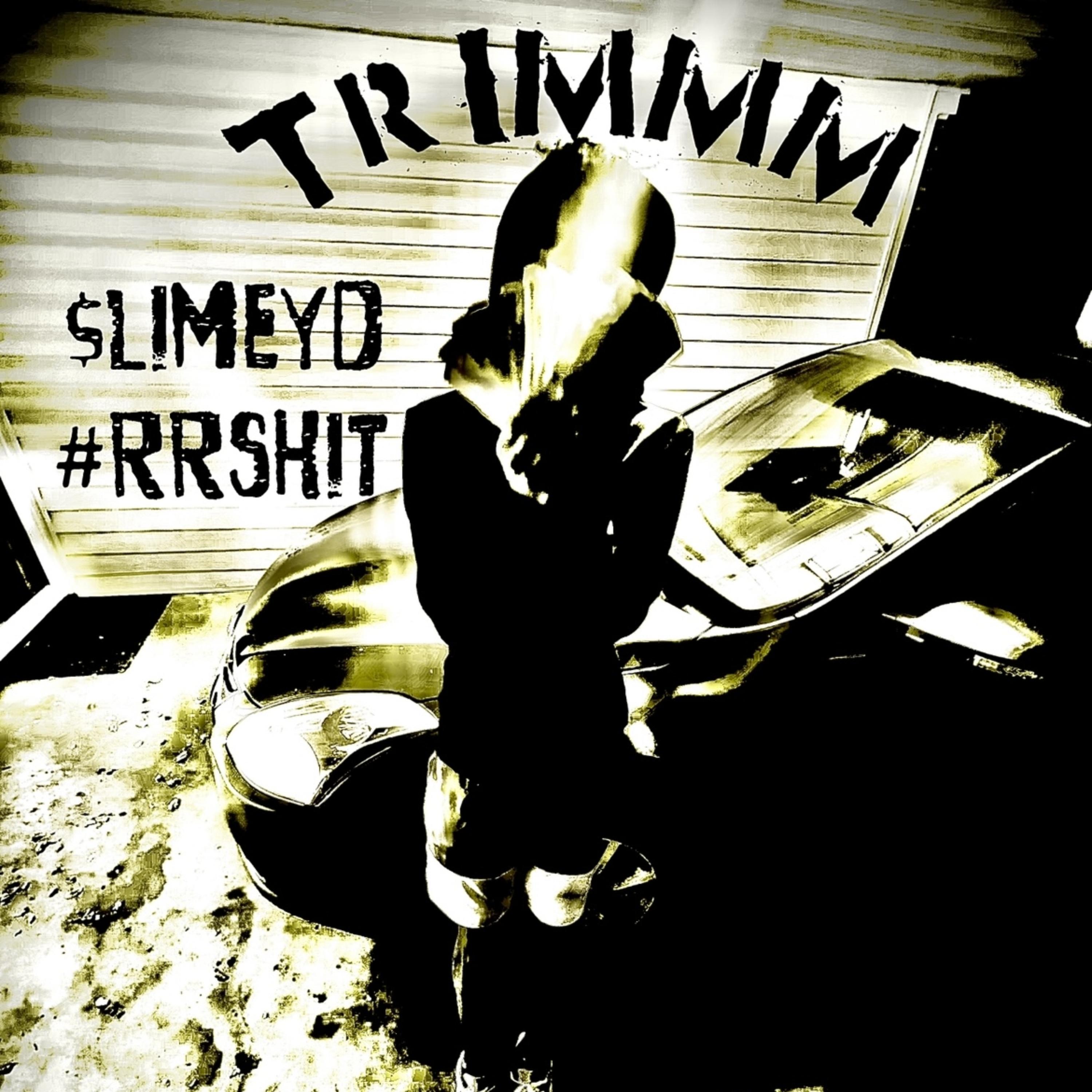 TRIMMM artwork