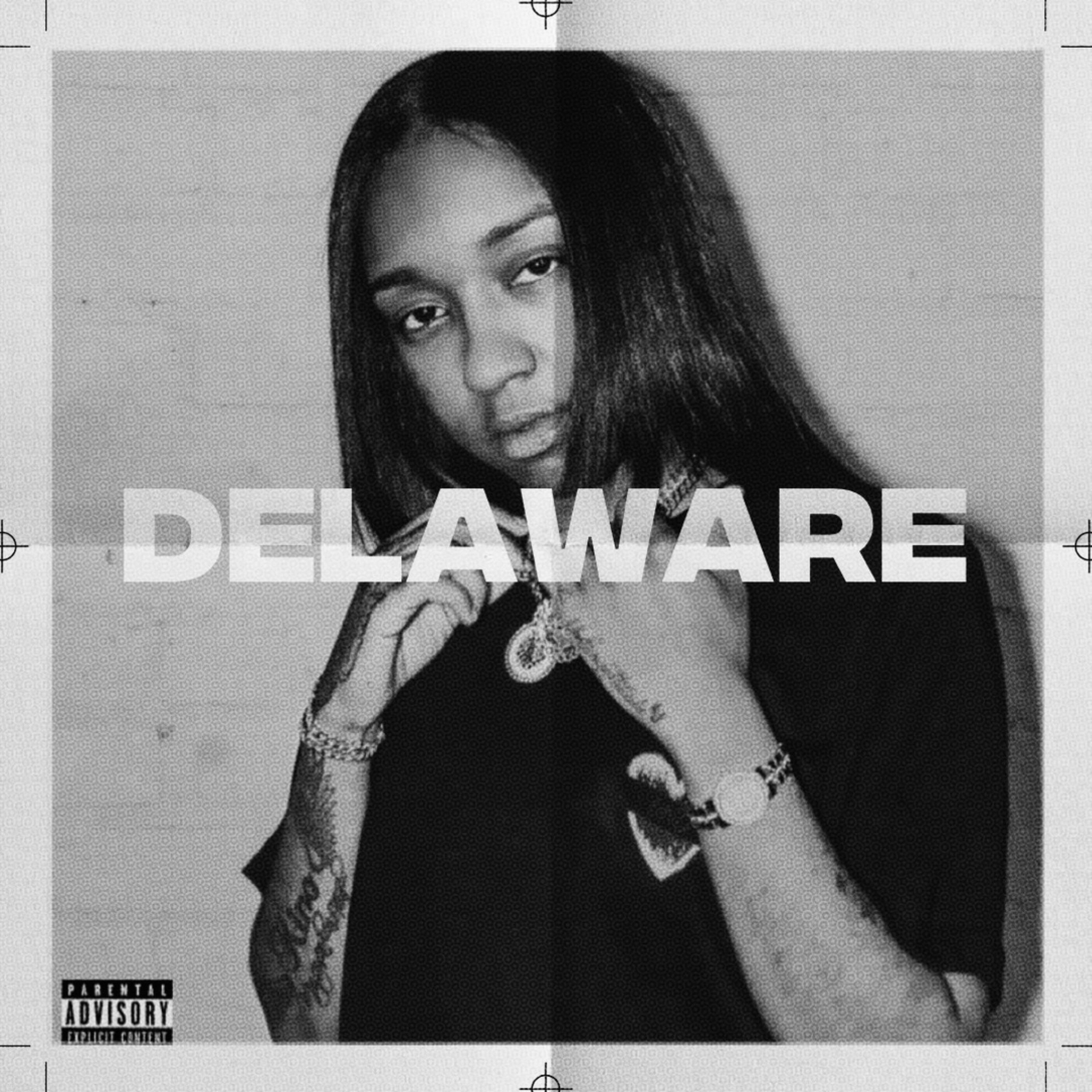 DELAWARE by $hade'ia cover art