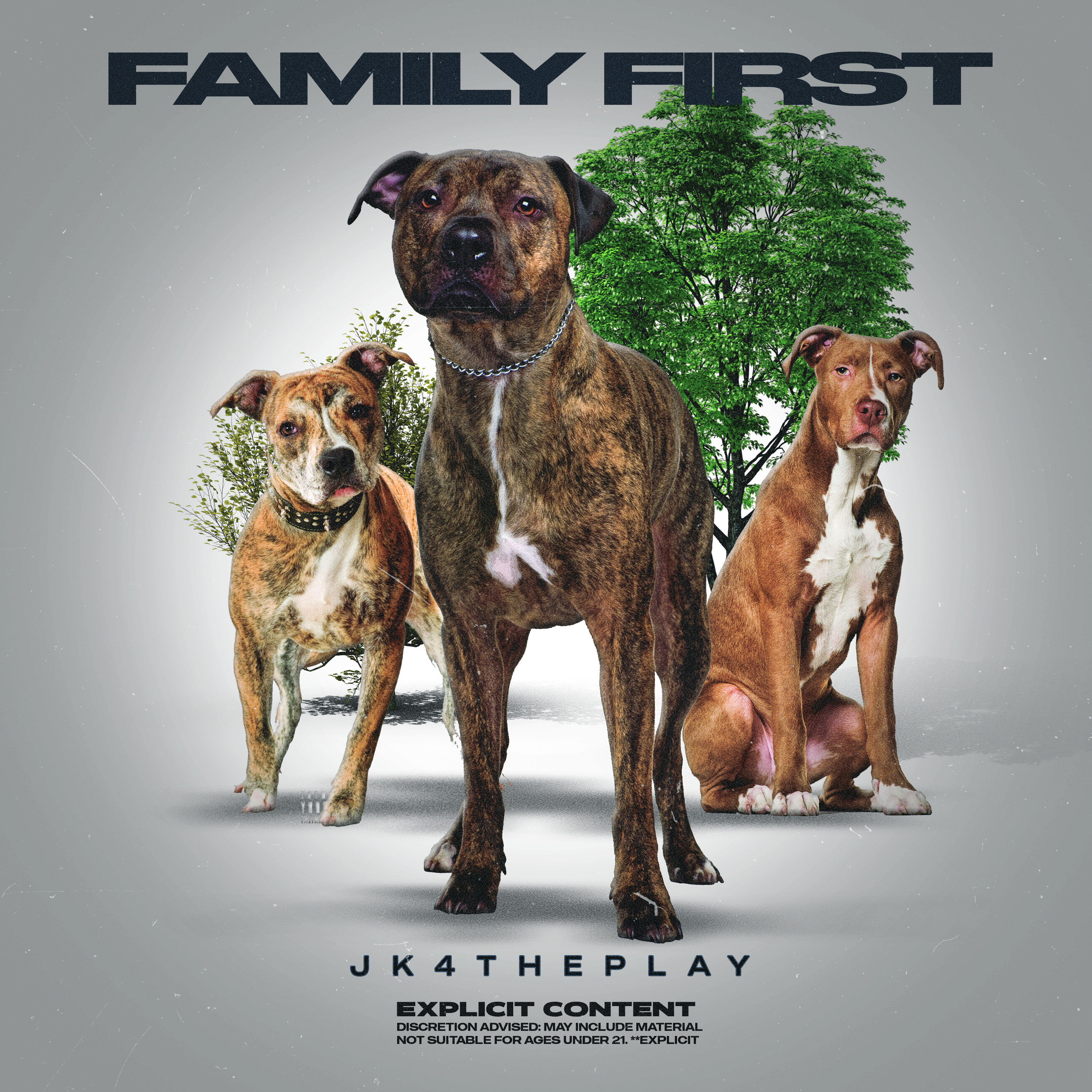 FAMILY FIRST artwork