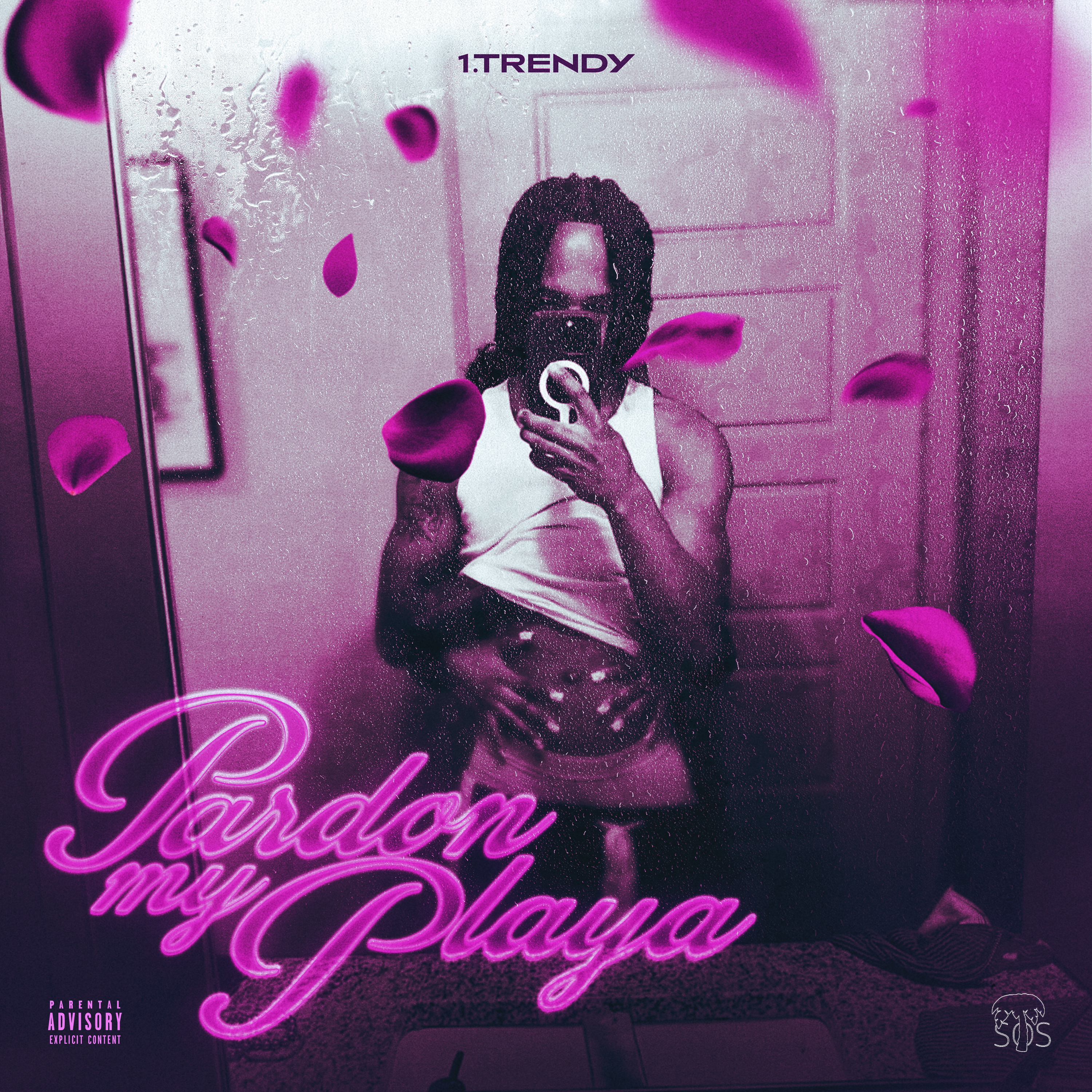 Pardon My Playa artwork