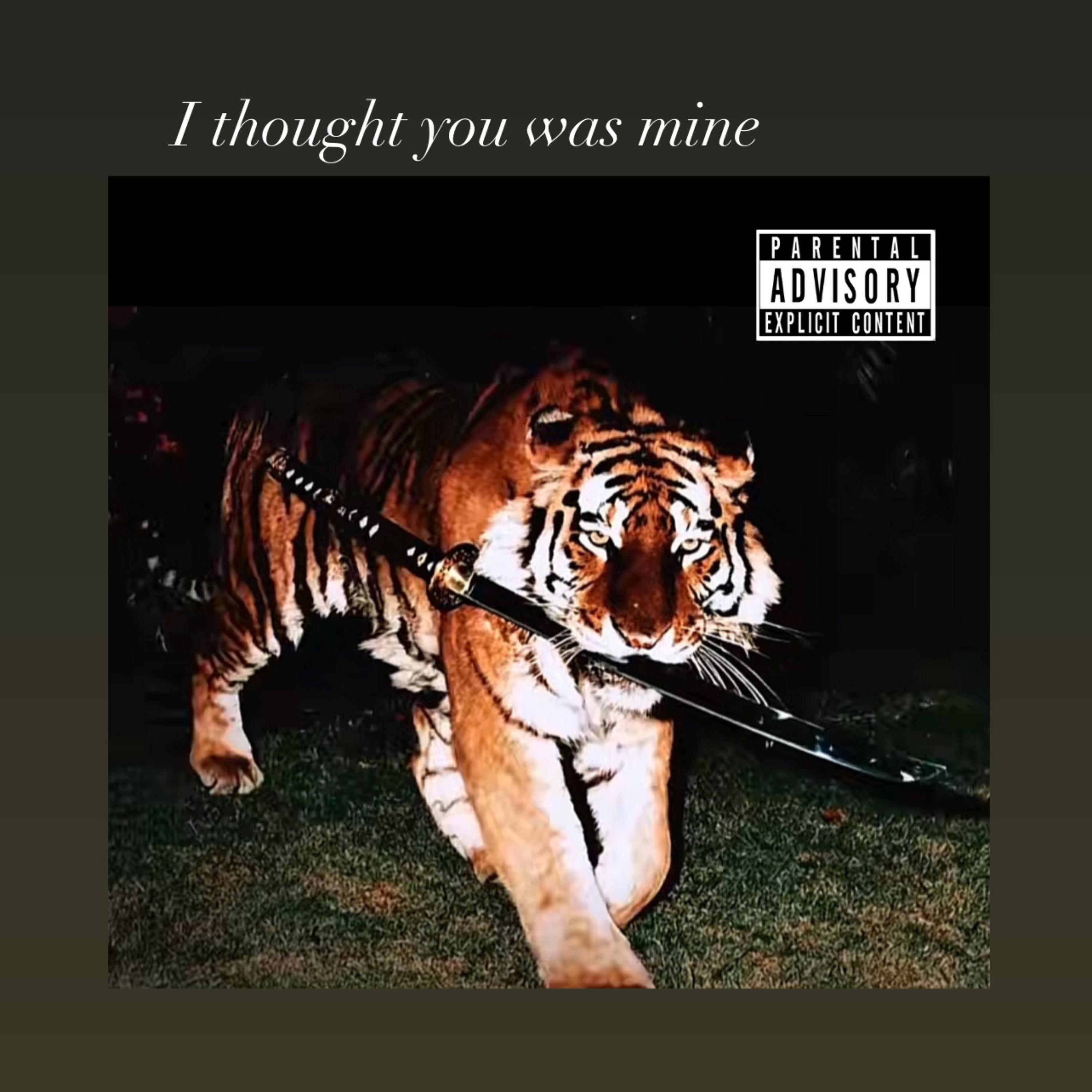 I Thought You Was Mine artwork