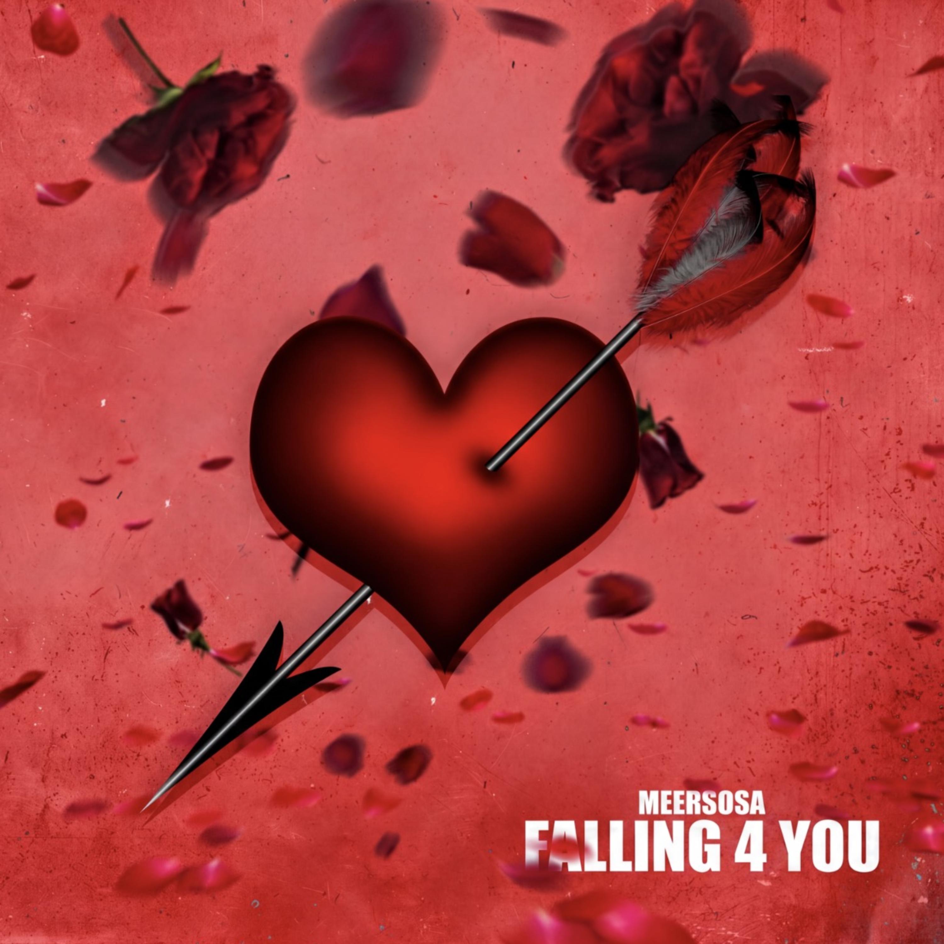 Falling 4 You by Meersosa cover art