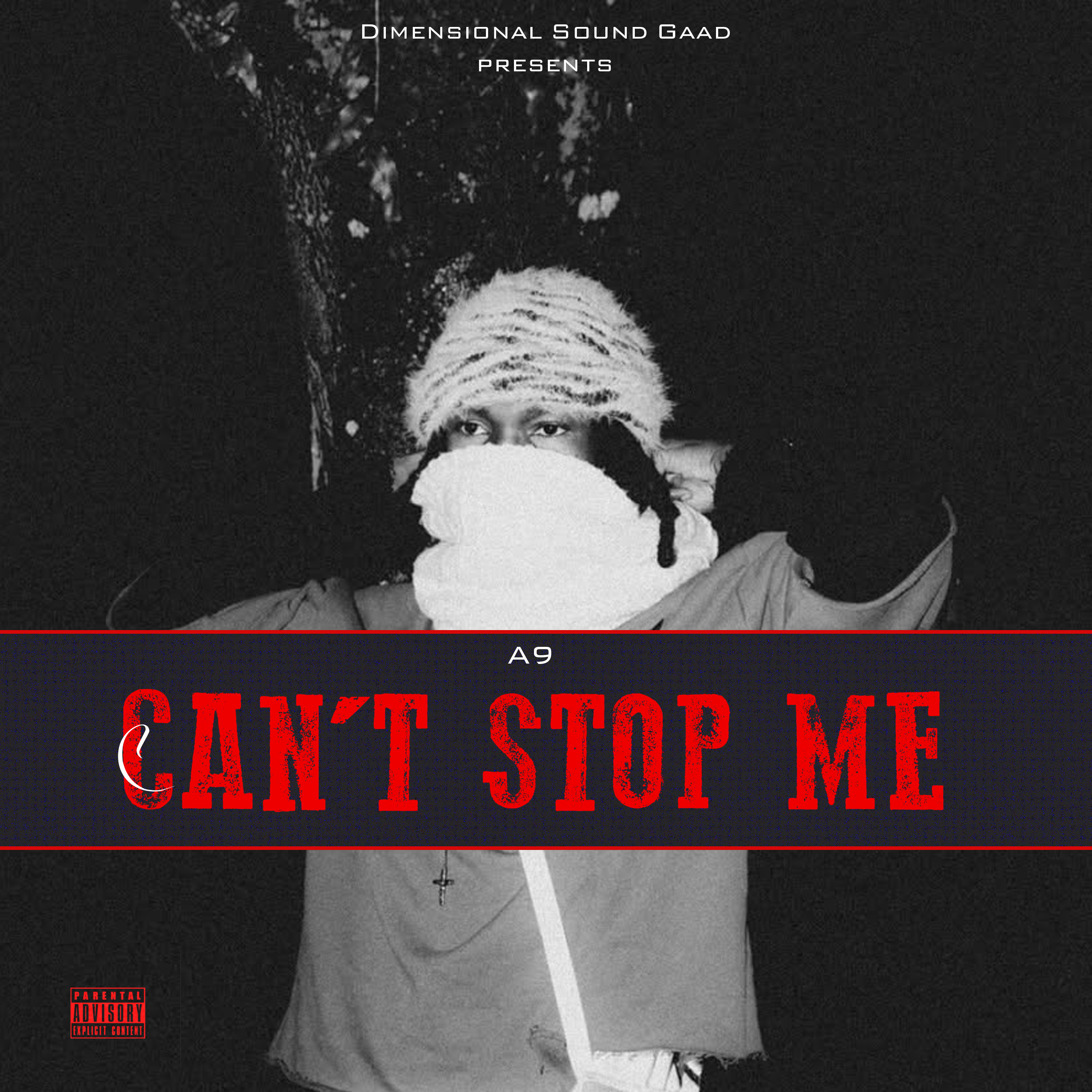 Can’t Stop Me artwork