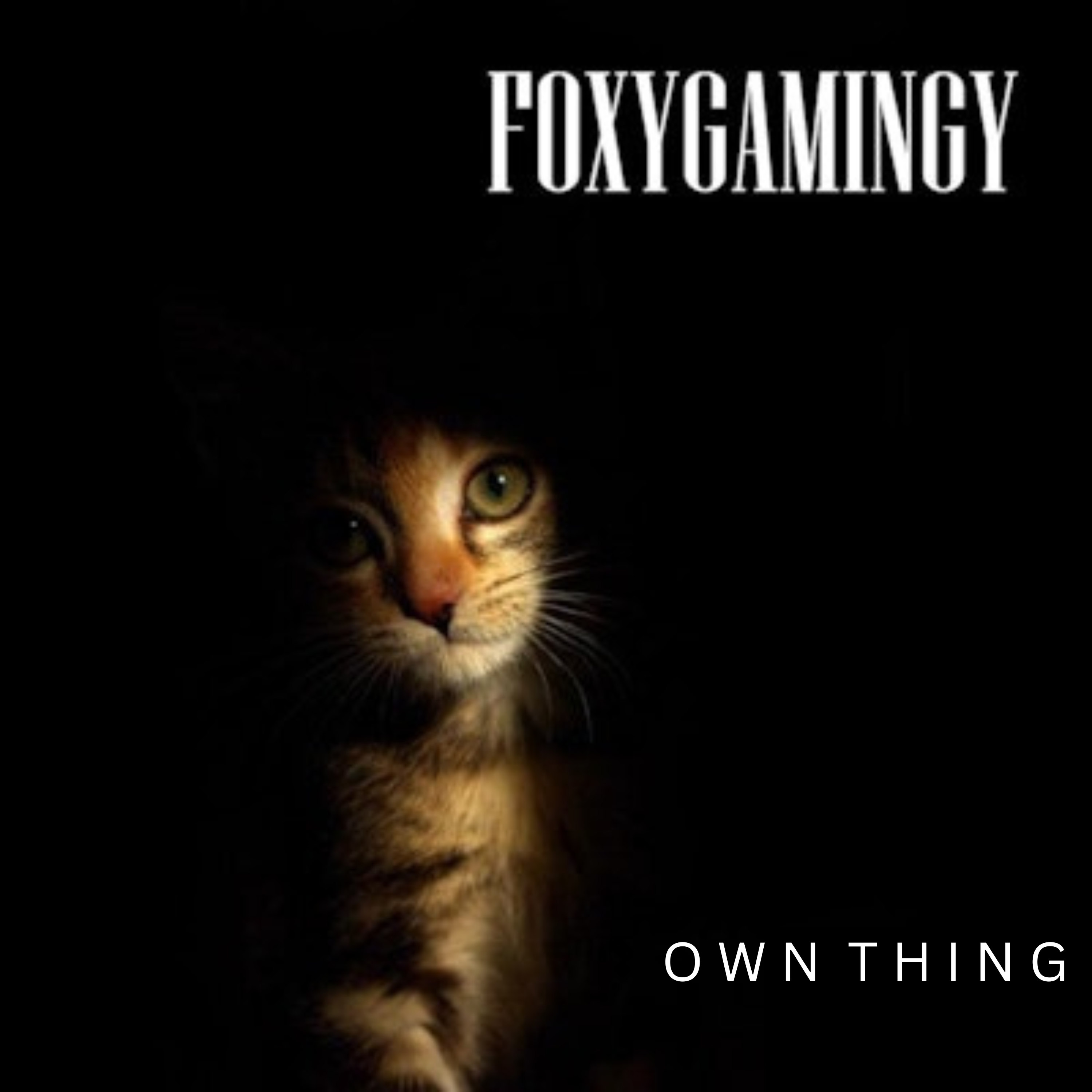 Own Thing artwork