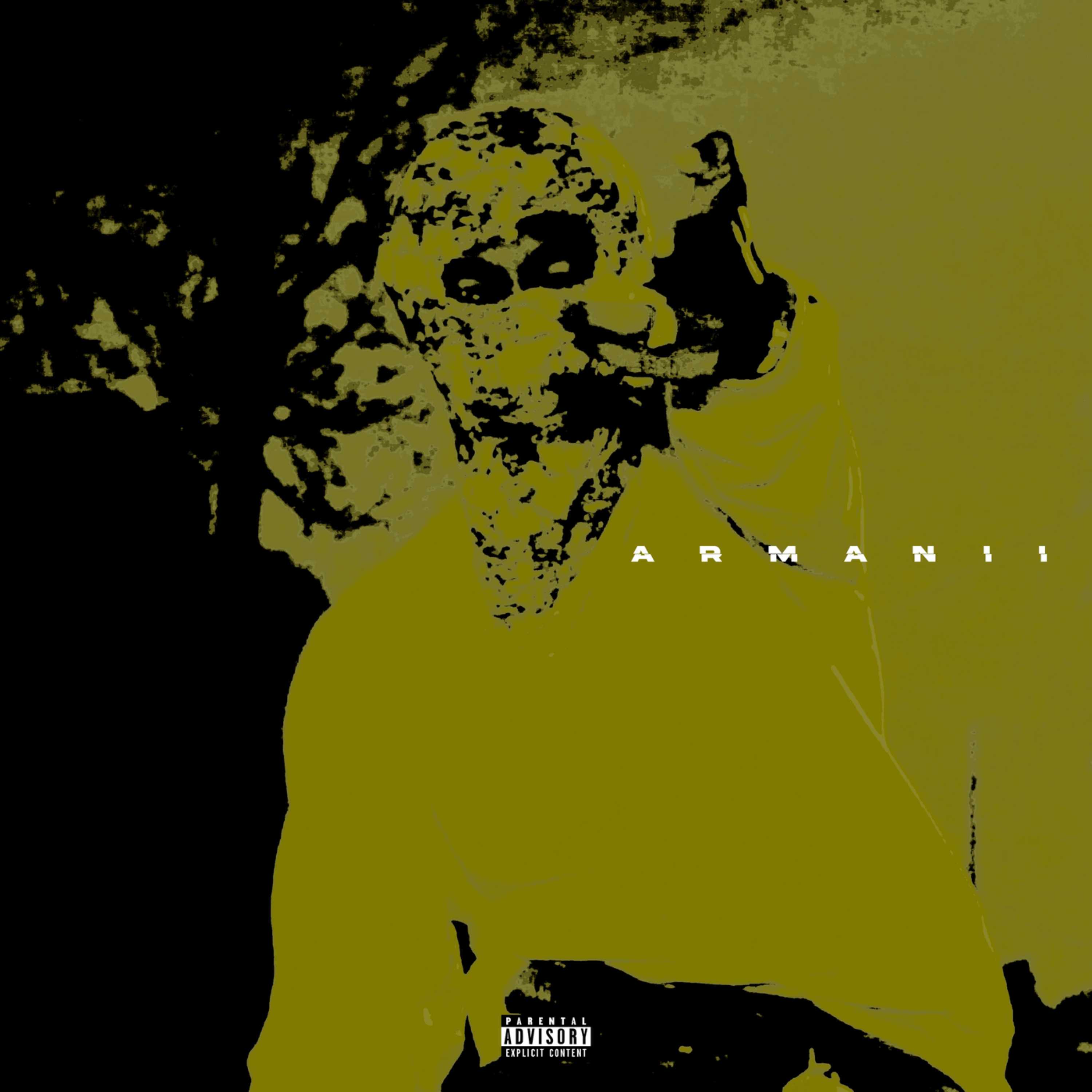 NAHMAL PREE (CAUTION) artwork
