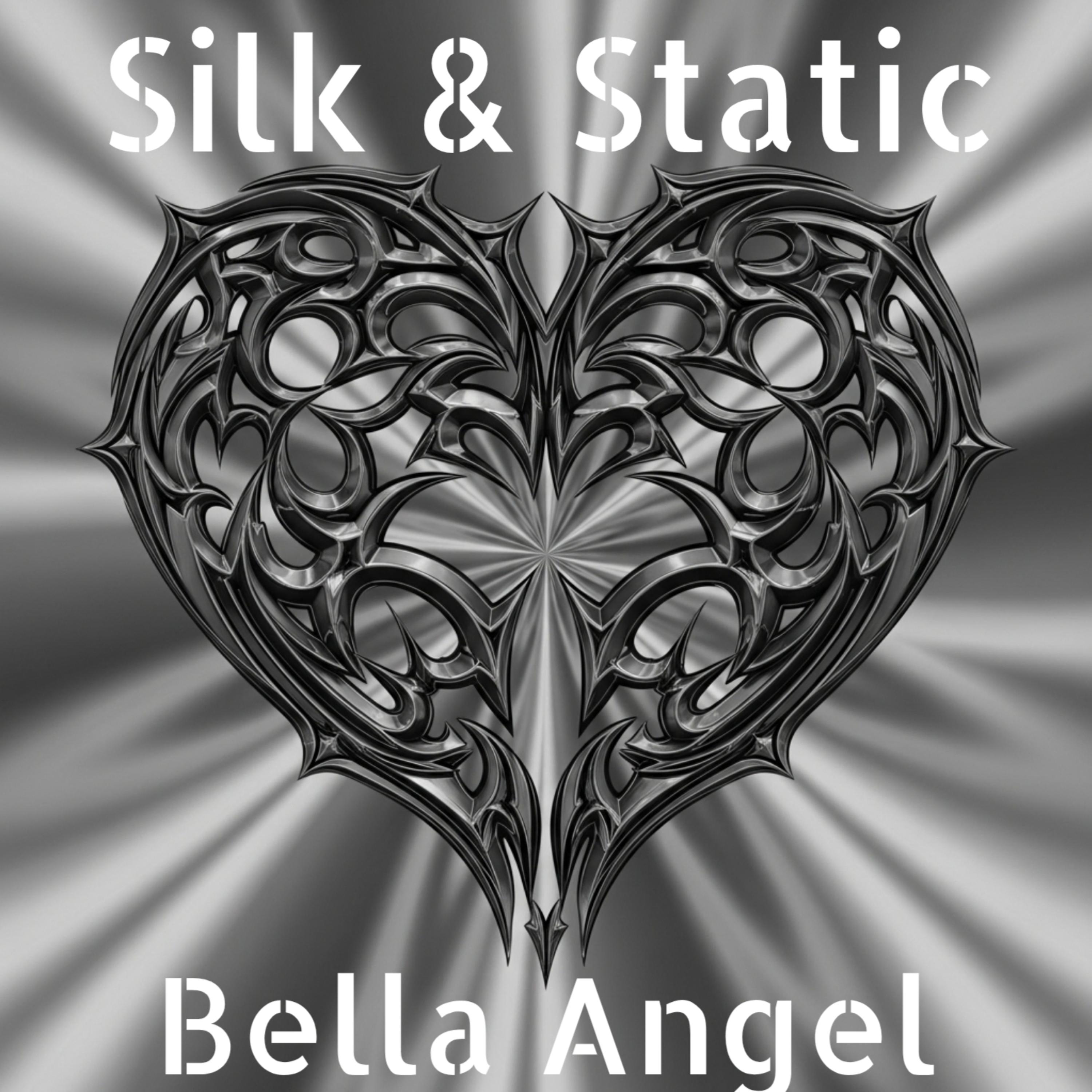 Silk & Static by Bella Angel cover art