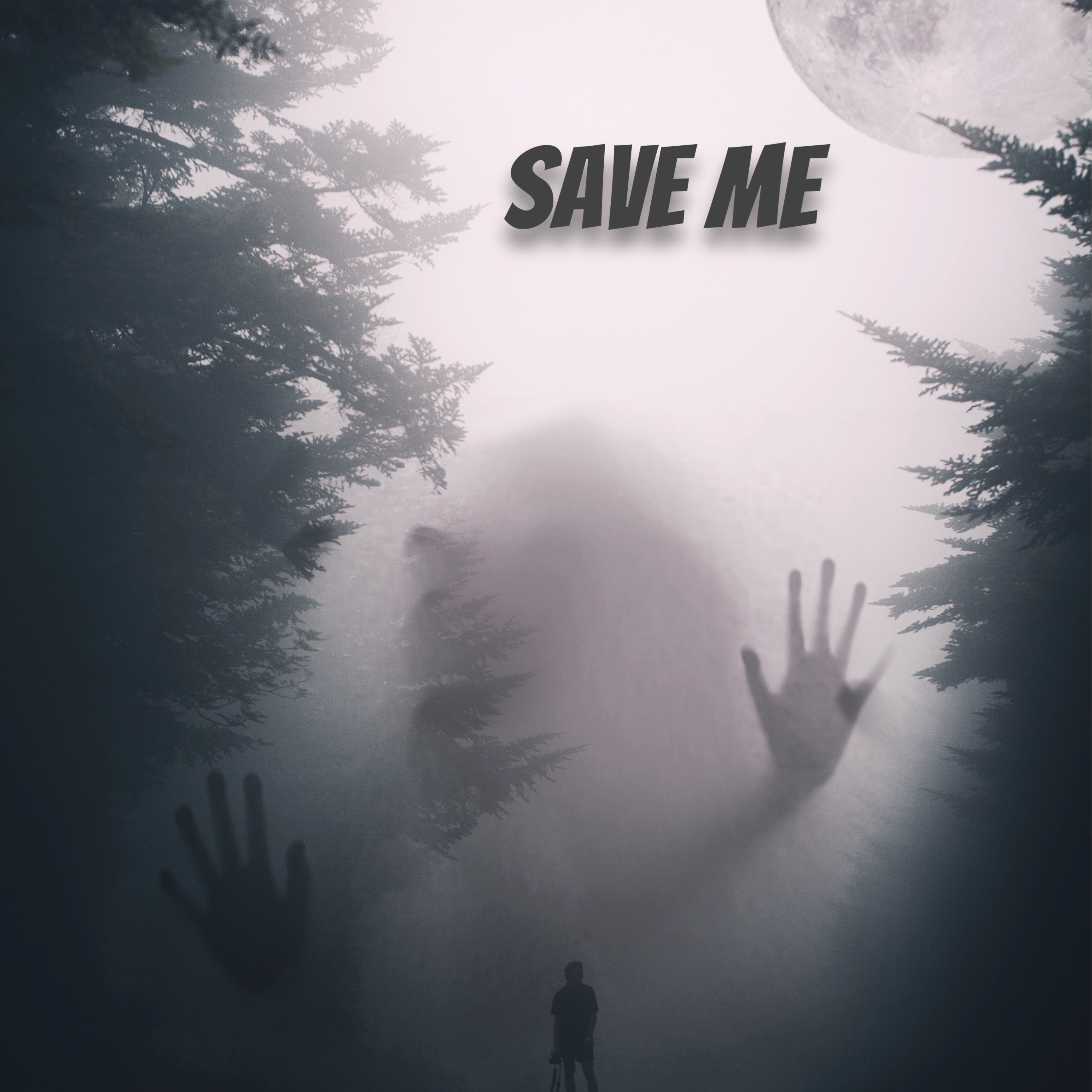 Save Me artwork
