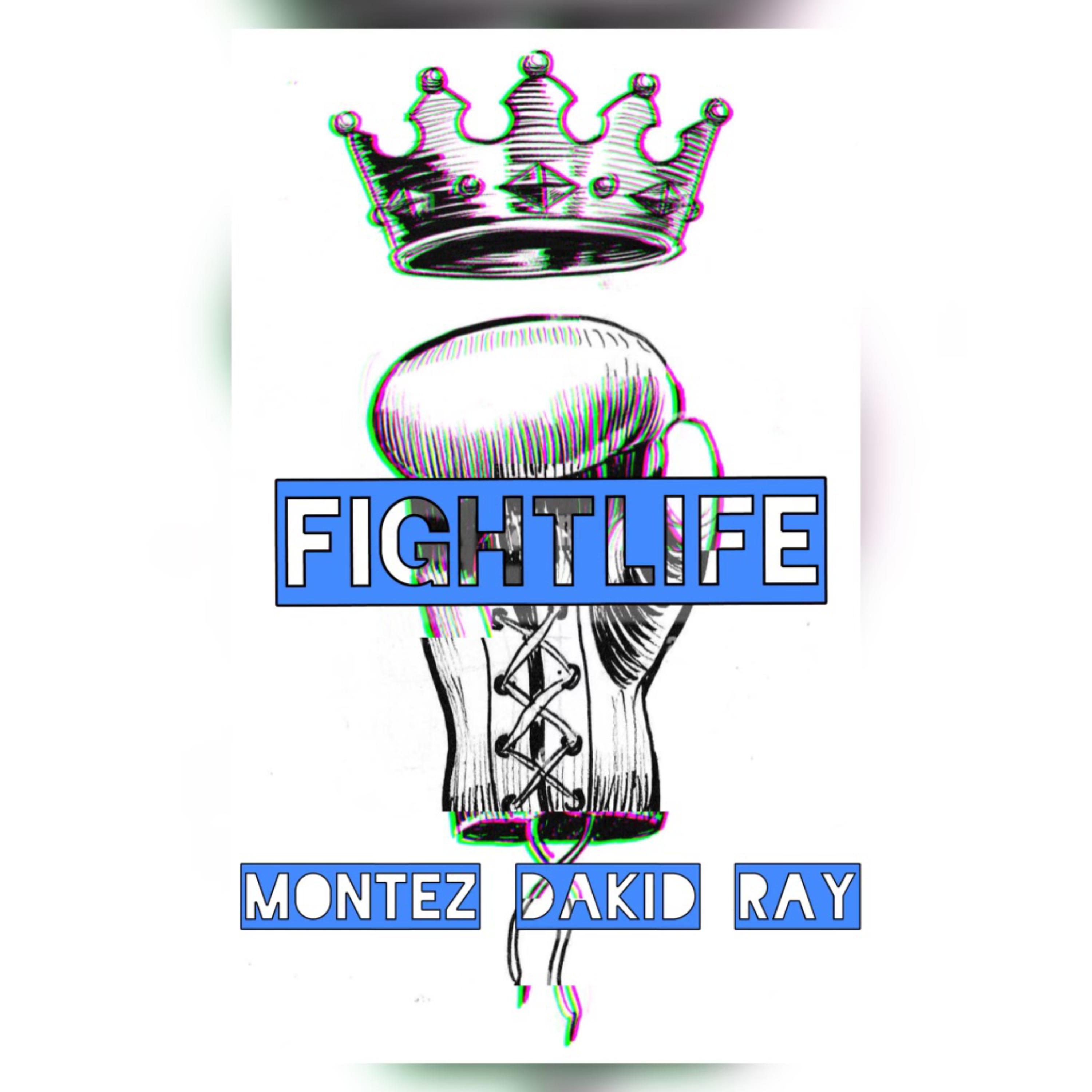 Fightlife artwork
