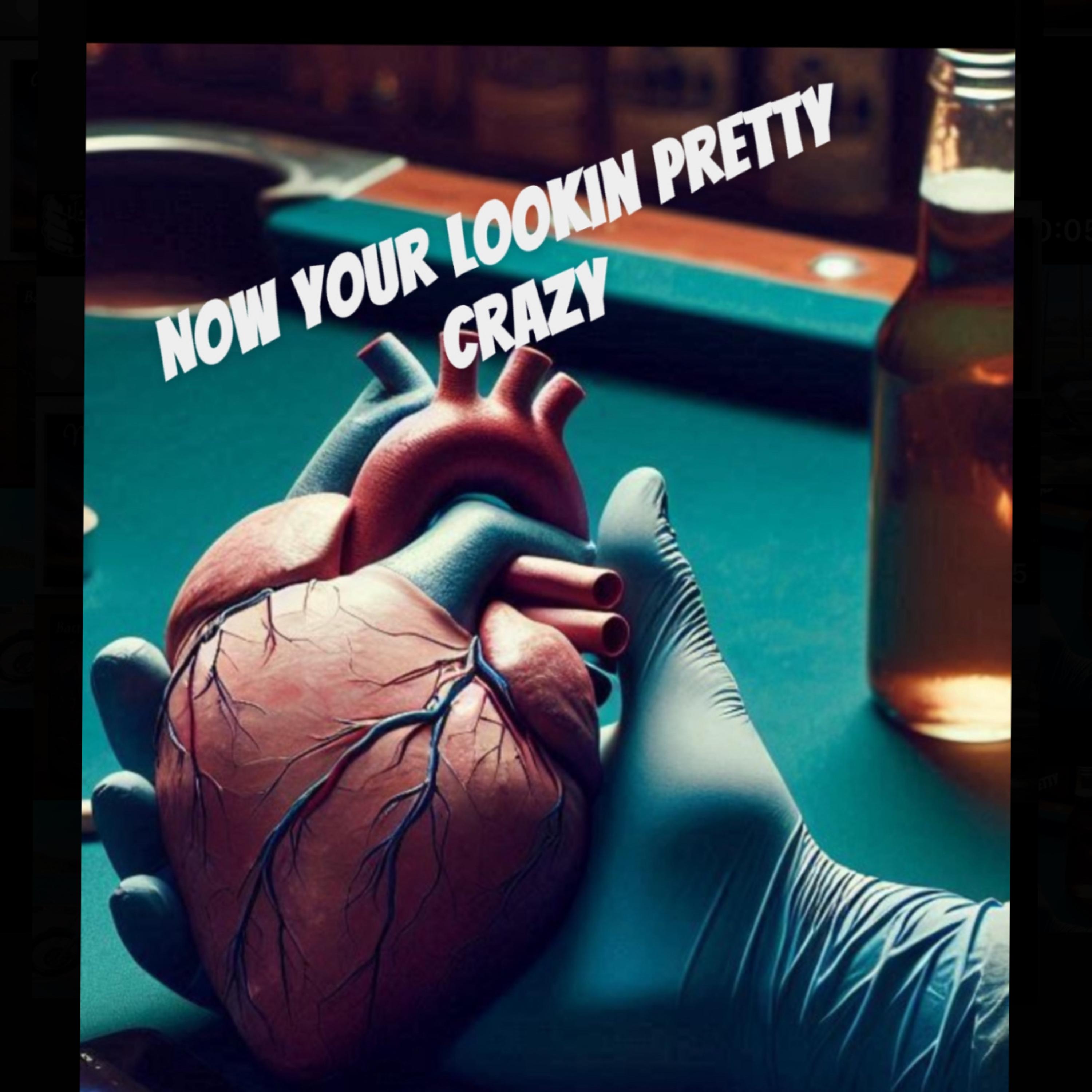 Now Your Lookin Pretty Crazy artwork