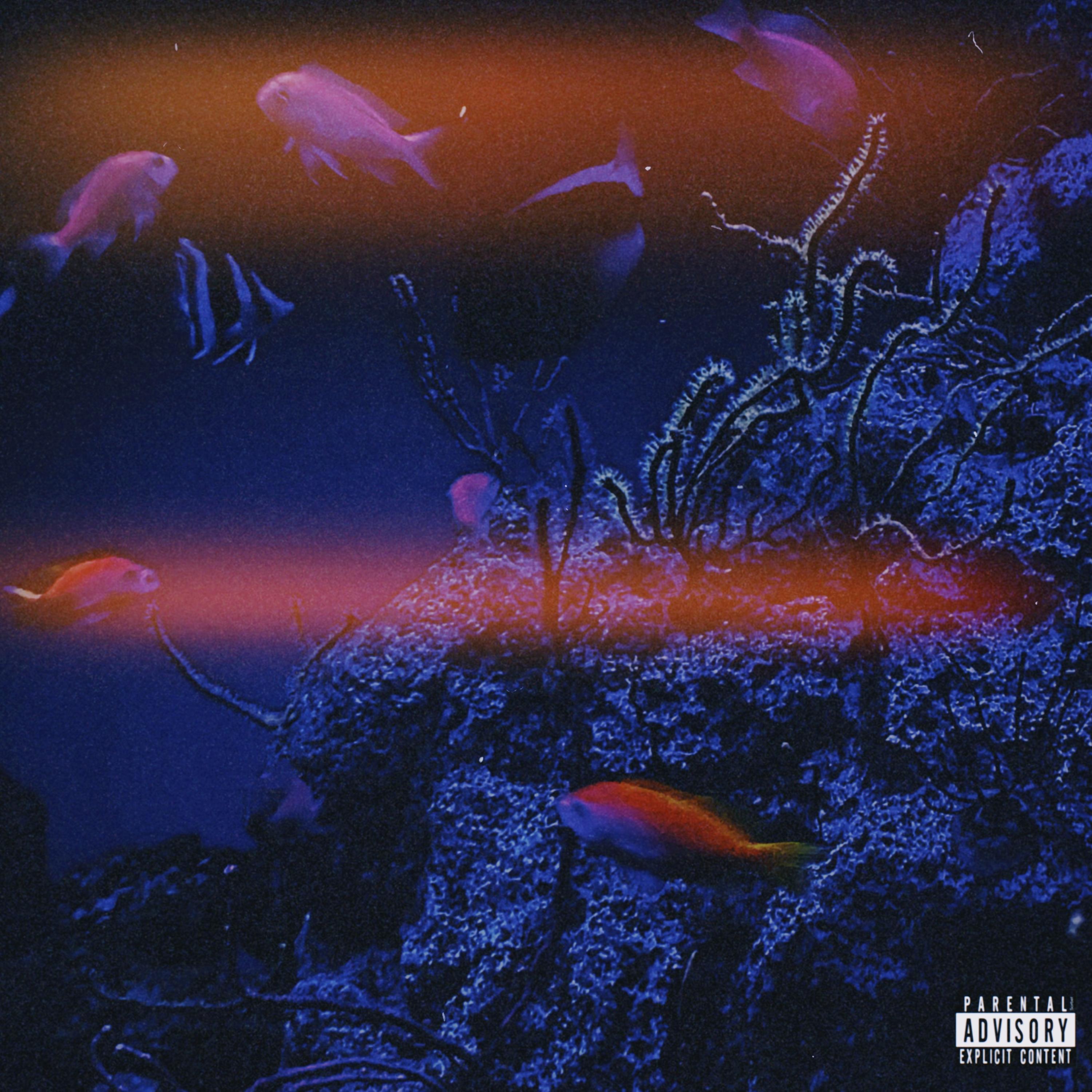 Nothing Like You artwork