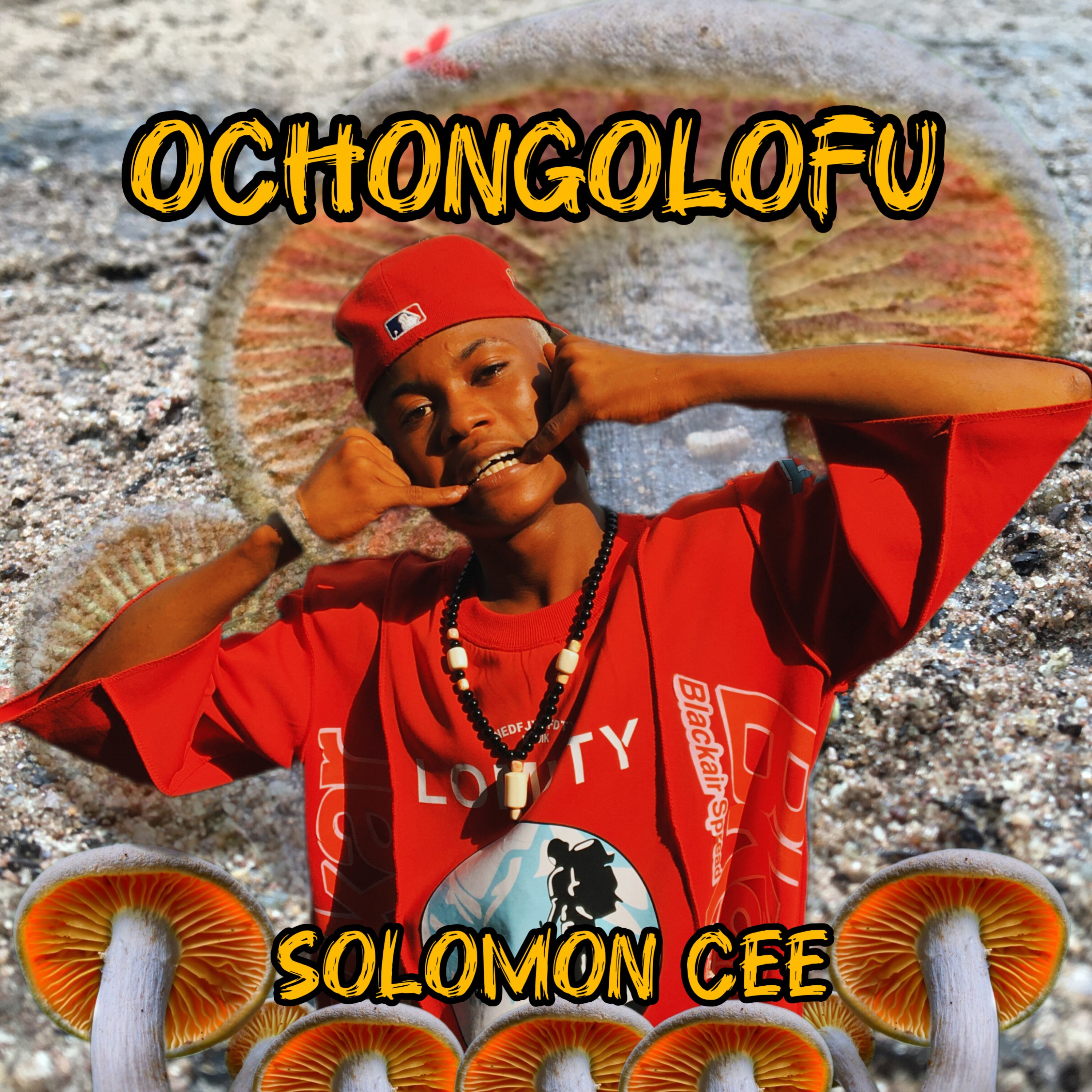 OCHONGOLOFU artwork