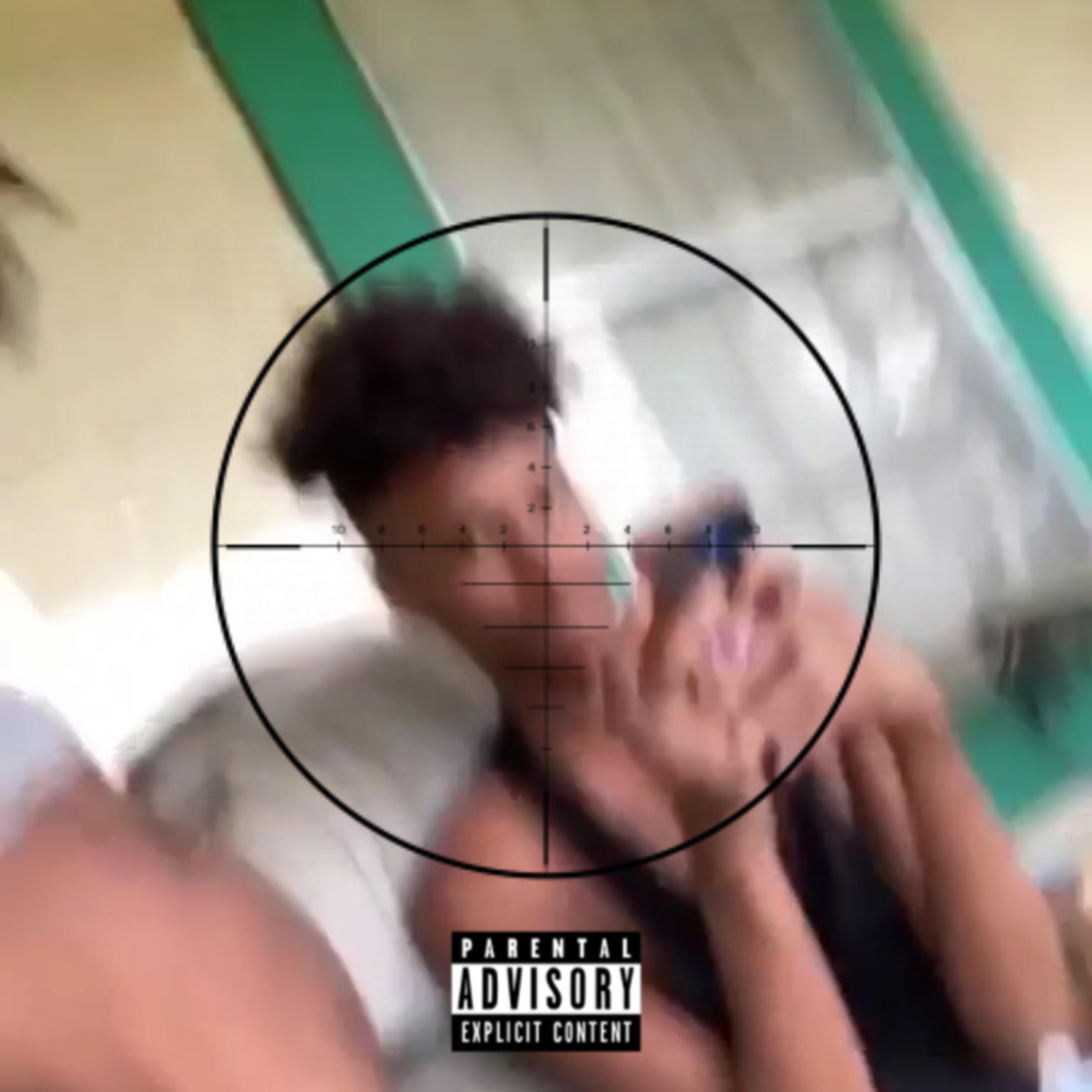 Internet Steppas artwork