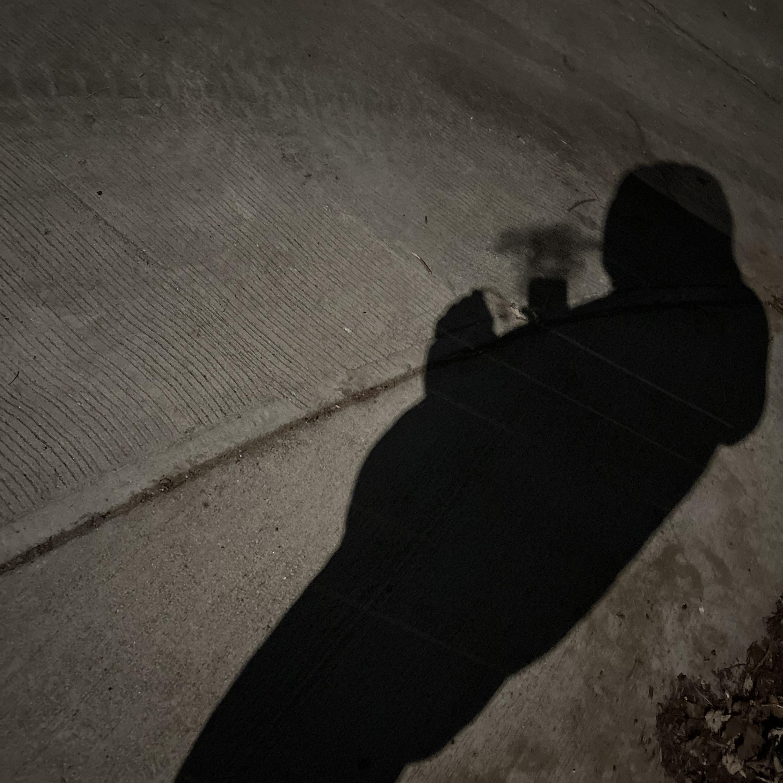 Man In The Shadow artwork