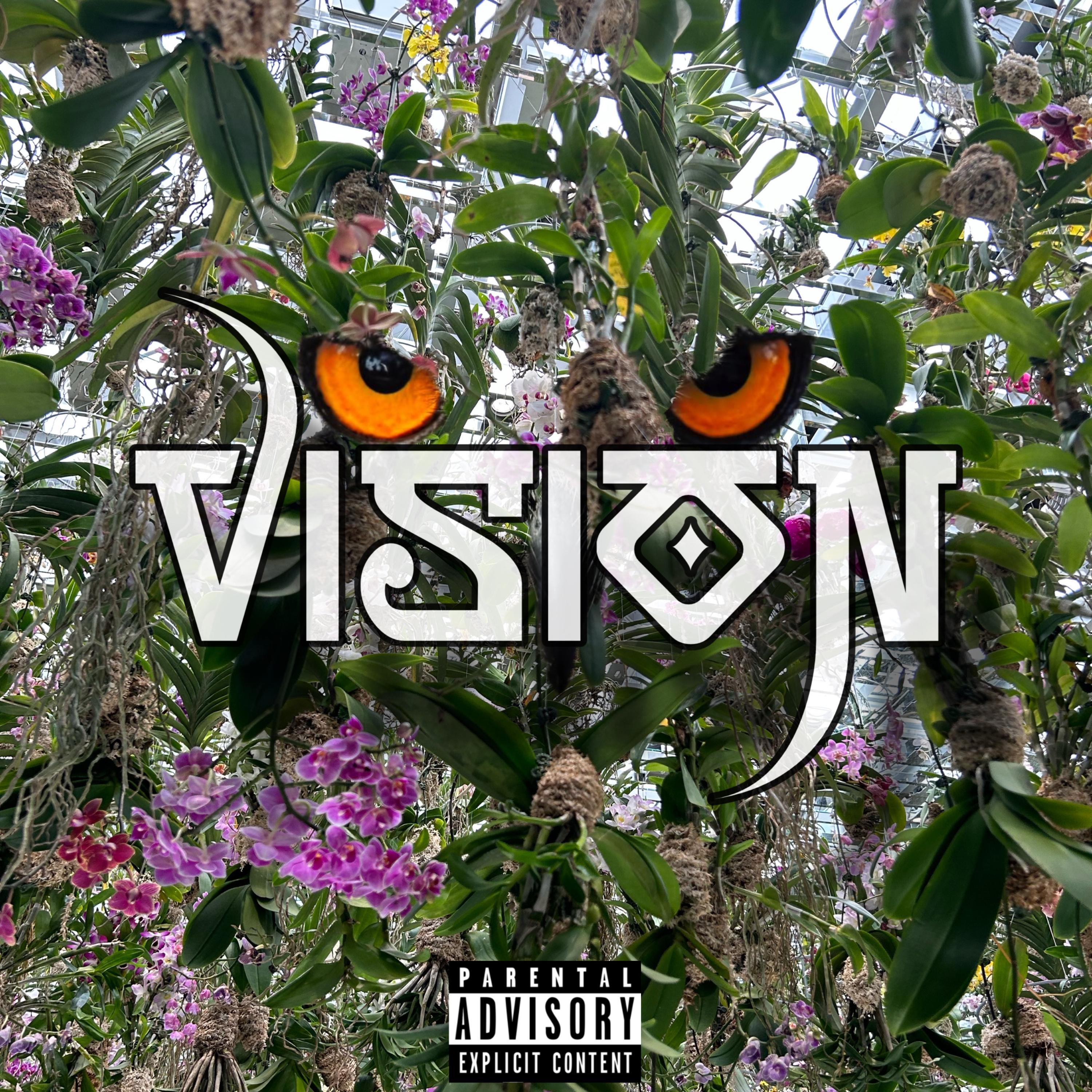 VISION artwork