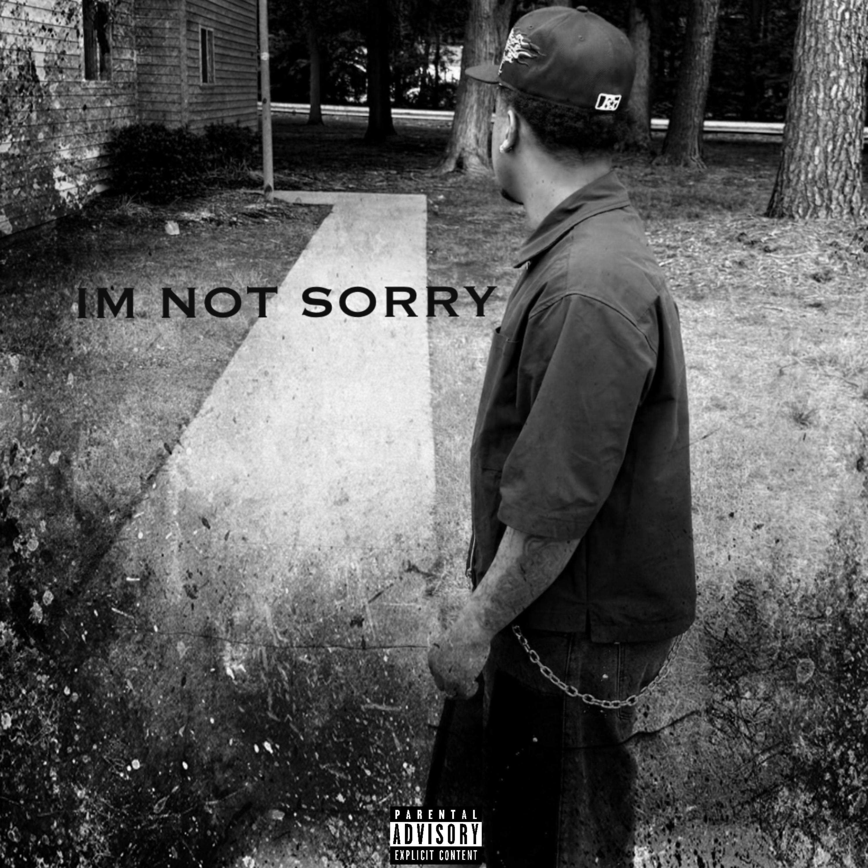 IM NOT SORRY artwork