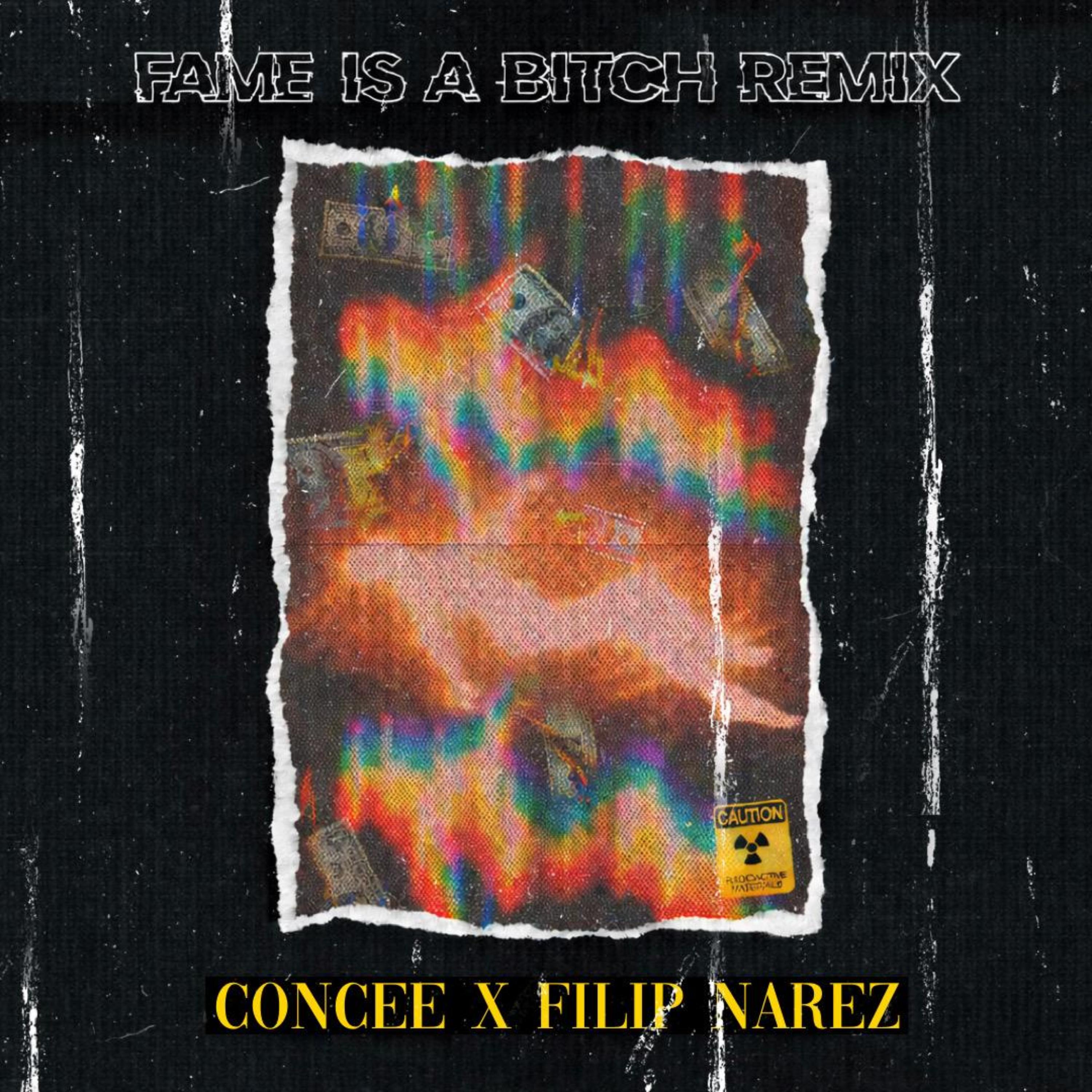 Fame is a bitch (REMIX) artwork